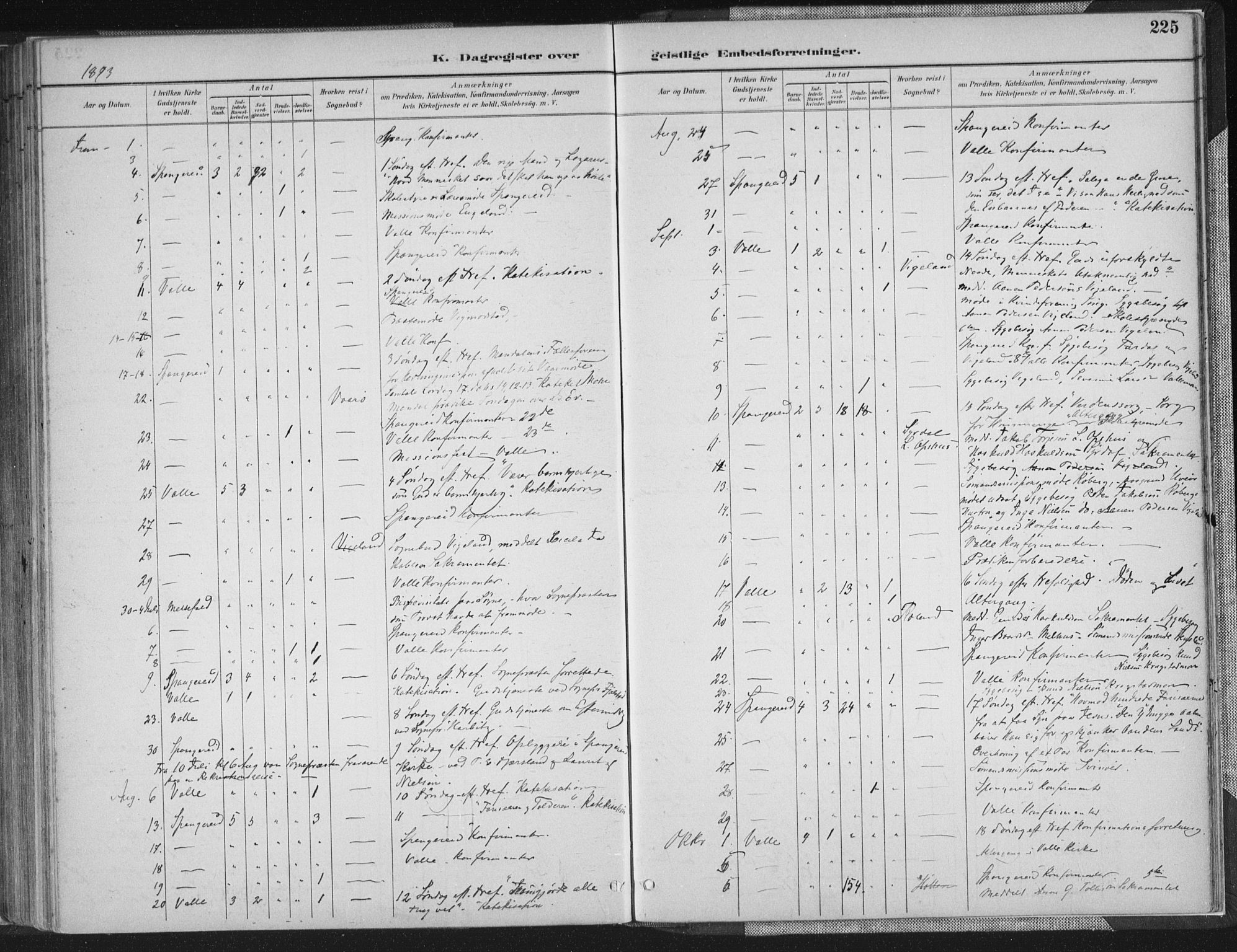 Sør-Audnedal sokneprestkontor, AV/SAK-1111-0039/F/Fa/Faa/L0004: Parish register (official) no. A 4, 1884-1909, p. 225