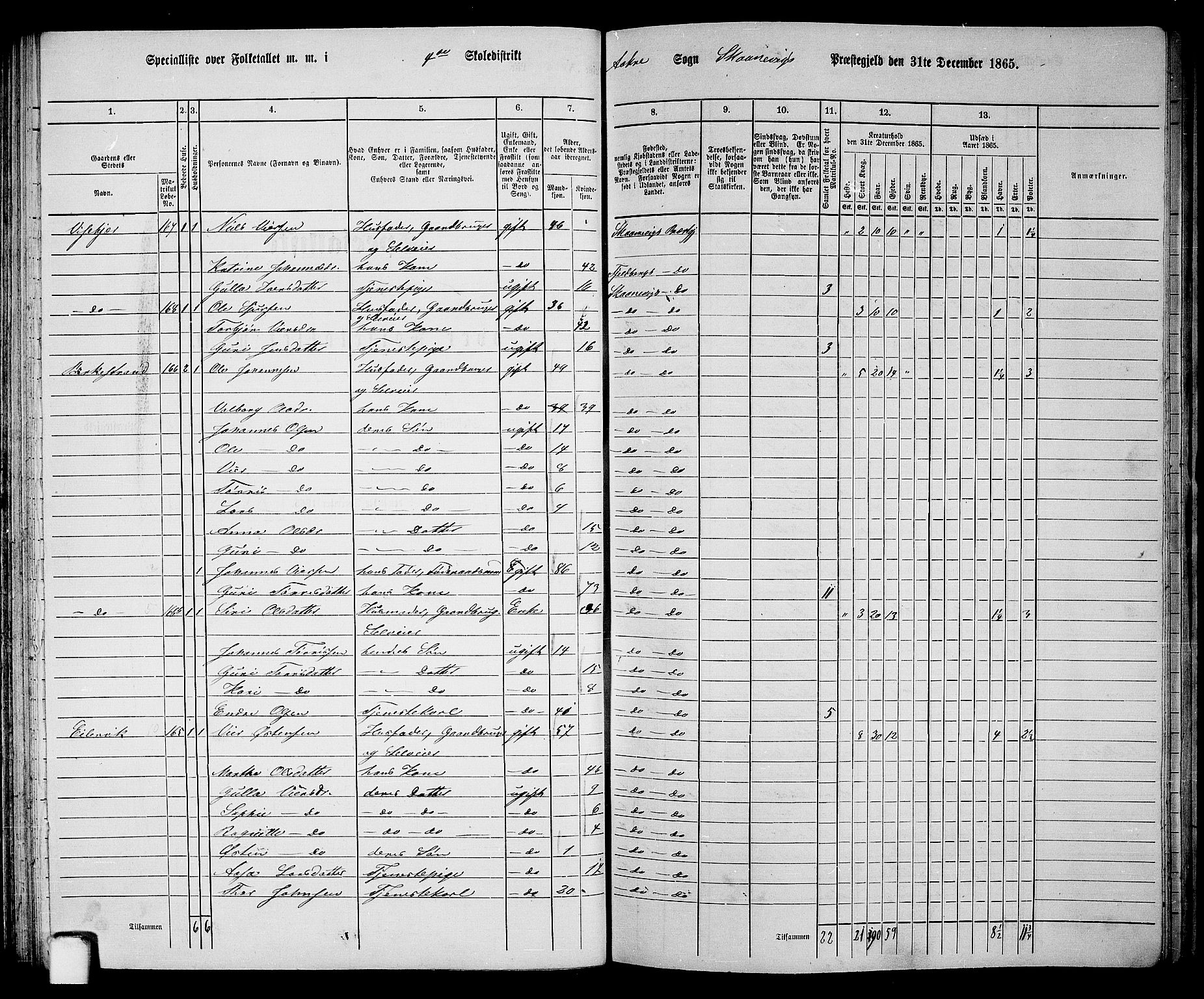 RA, 1865 census for Skånevik, 1865, p. 64