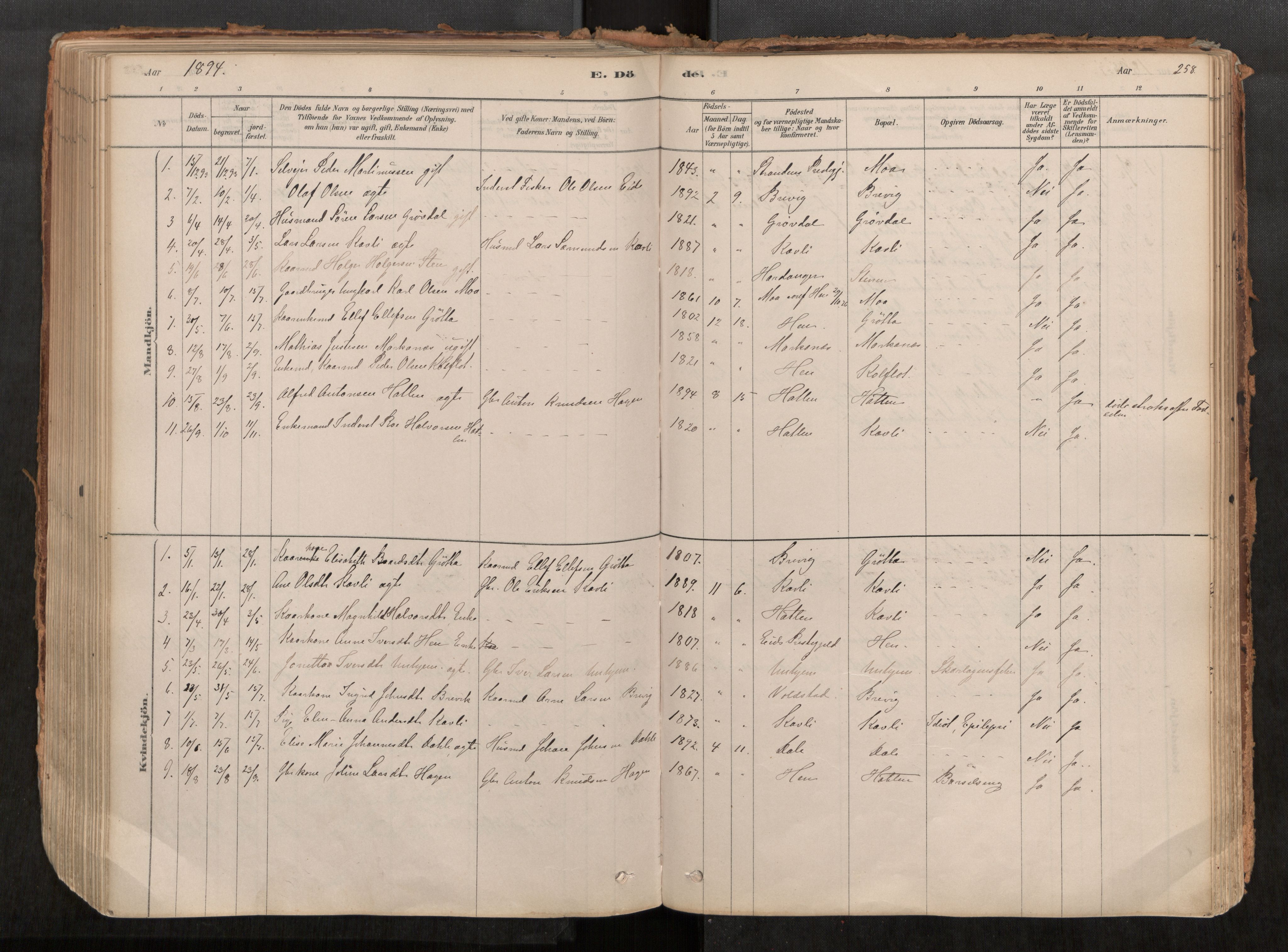 Ministerialprotokoller, klokkerbøker og fødselsregistre - Møre og Romsdal, AV/SAT-A-1454/545/L0594: Parish register (official) no. 545A03, 1878-1920, p. 258