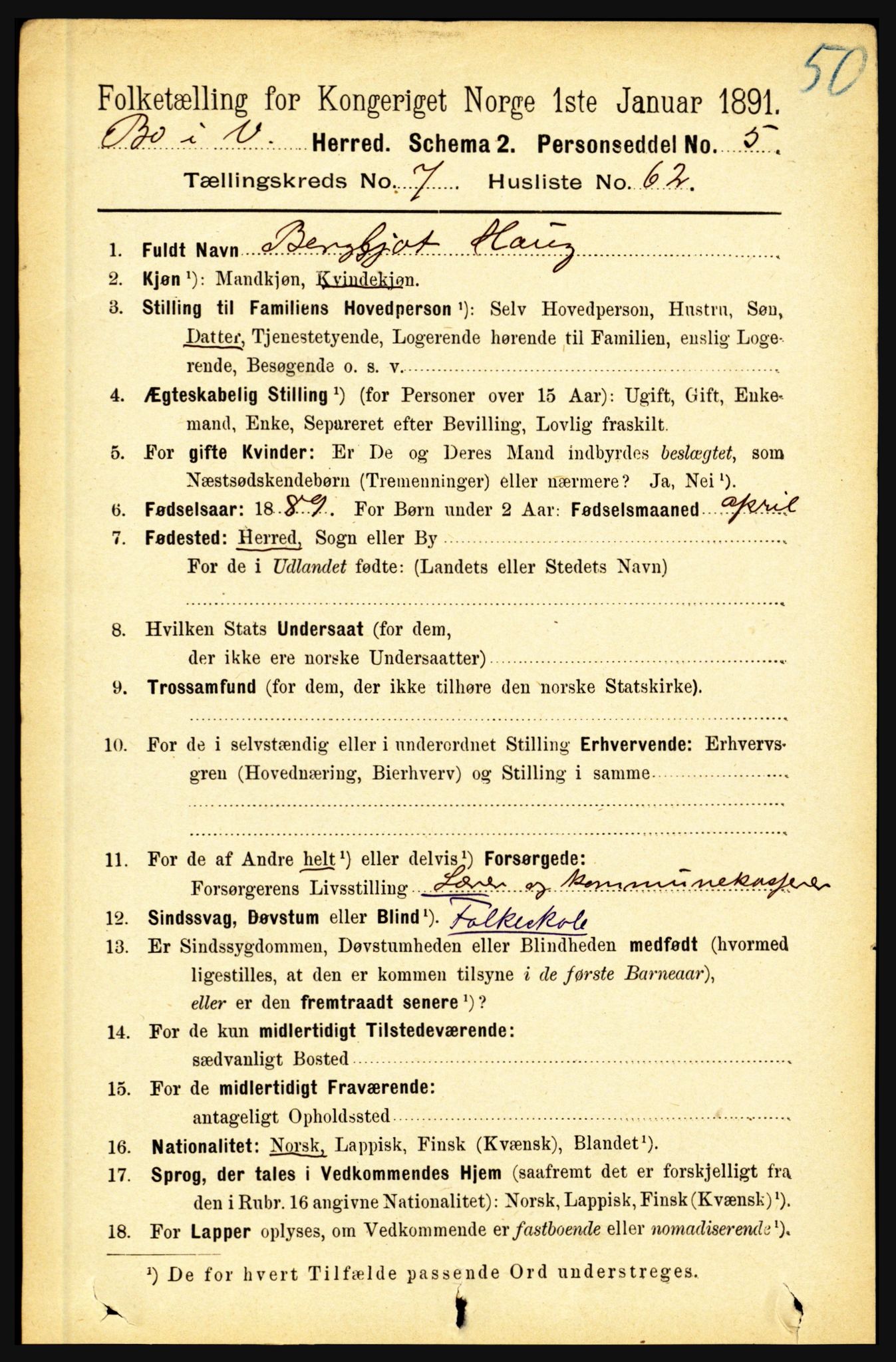 RA, 1891 census for 1867 Bø, 1891, p. 2942