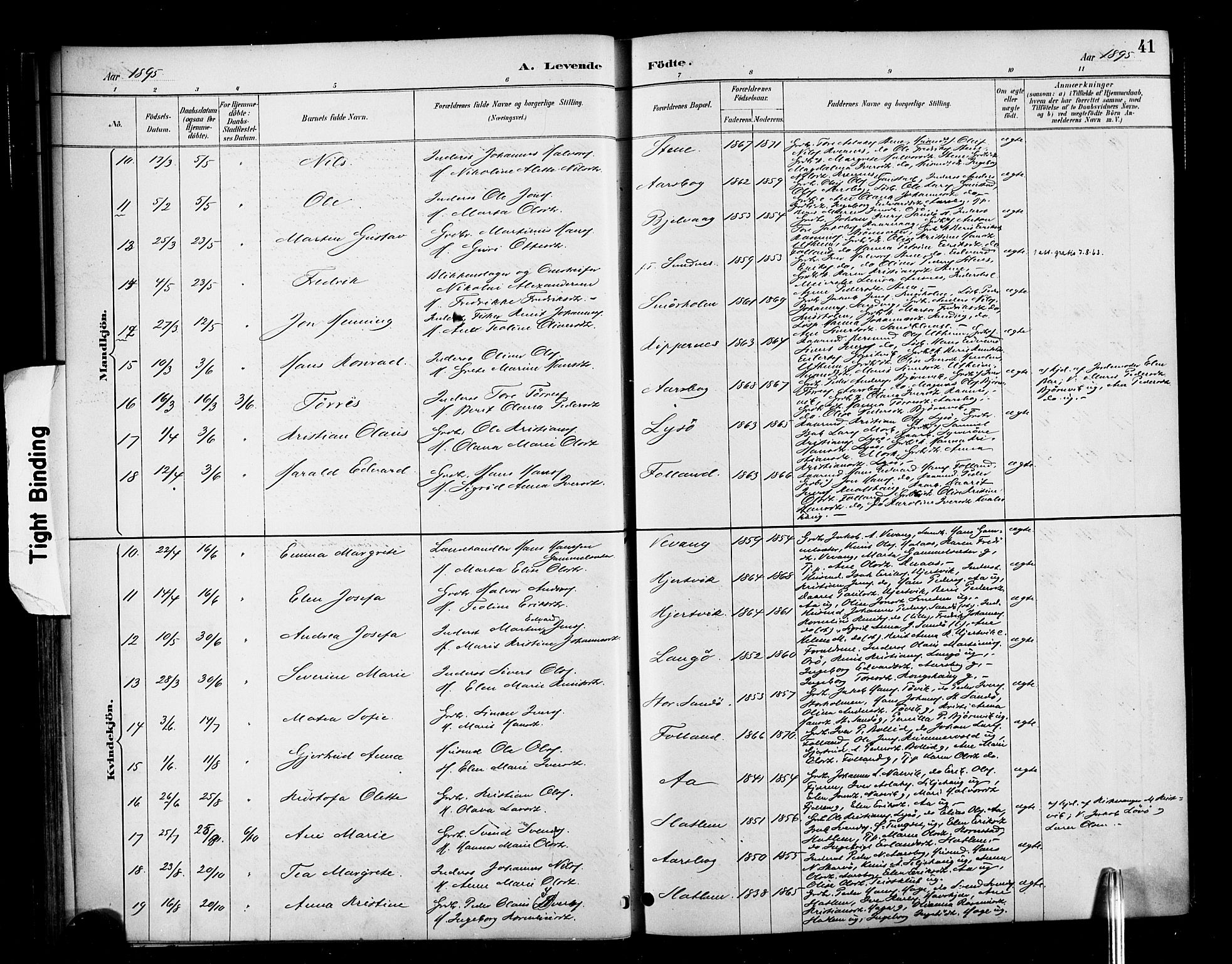 Ministerialprotokoller, klokkerbøker og fødselsregistre - Møre og Romsdal, AV/SAT-A-1454/570/L0832: Parish register (official) no. 570A06, 1885-1900, p. 41