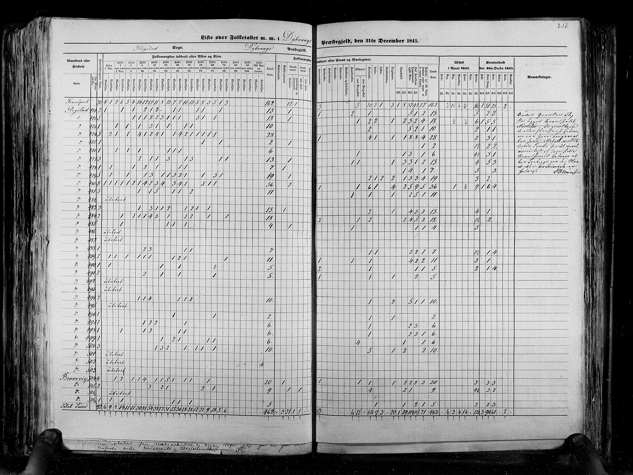 RA, Census 1845, vol. 5: Bratsberg amt og Nedenes og Råbyggelaget amt, 1845, p. 251