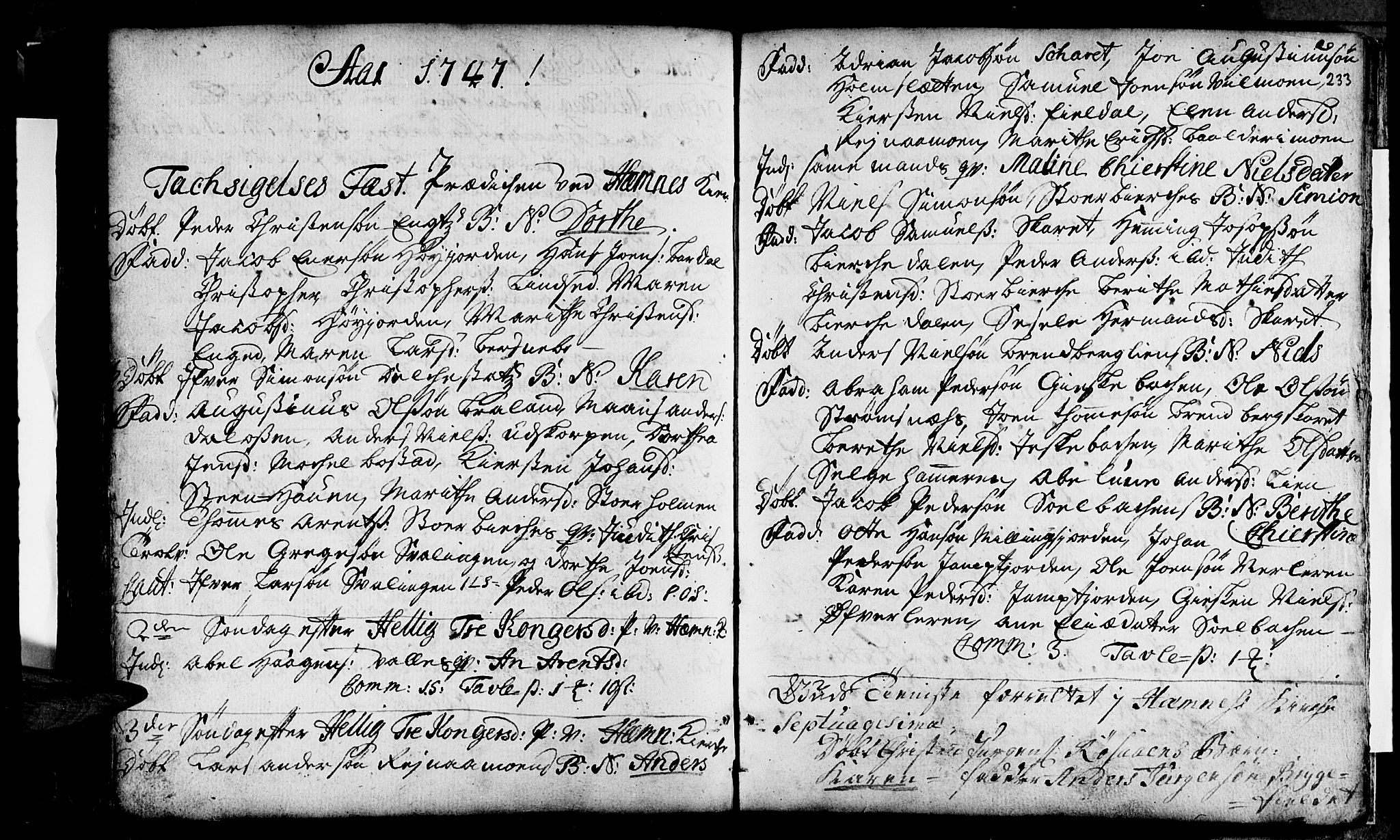Ministerialprotokoller, klokkerbøker og fødselsregistre - Nordland, SAT/A-1459/825/L0346: Parish register (official) no. 825A02, 1729-1748, p. 233