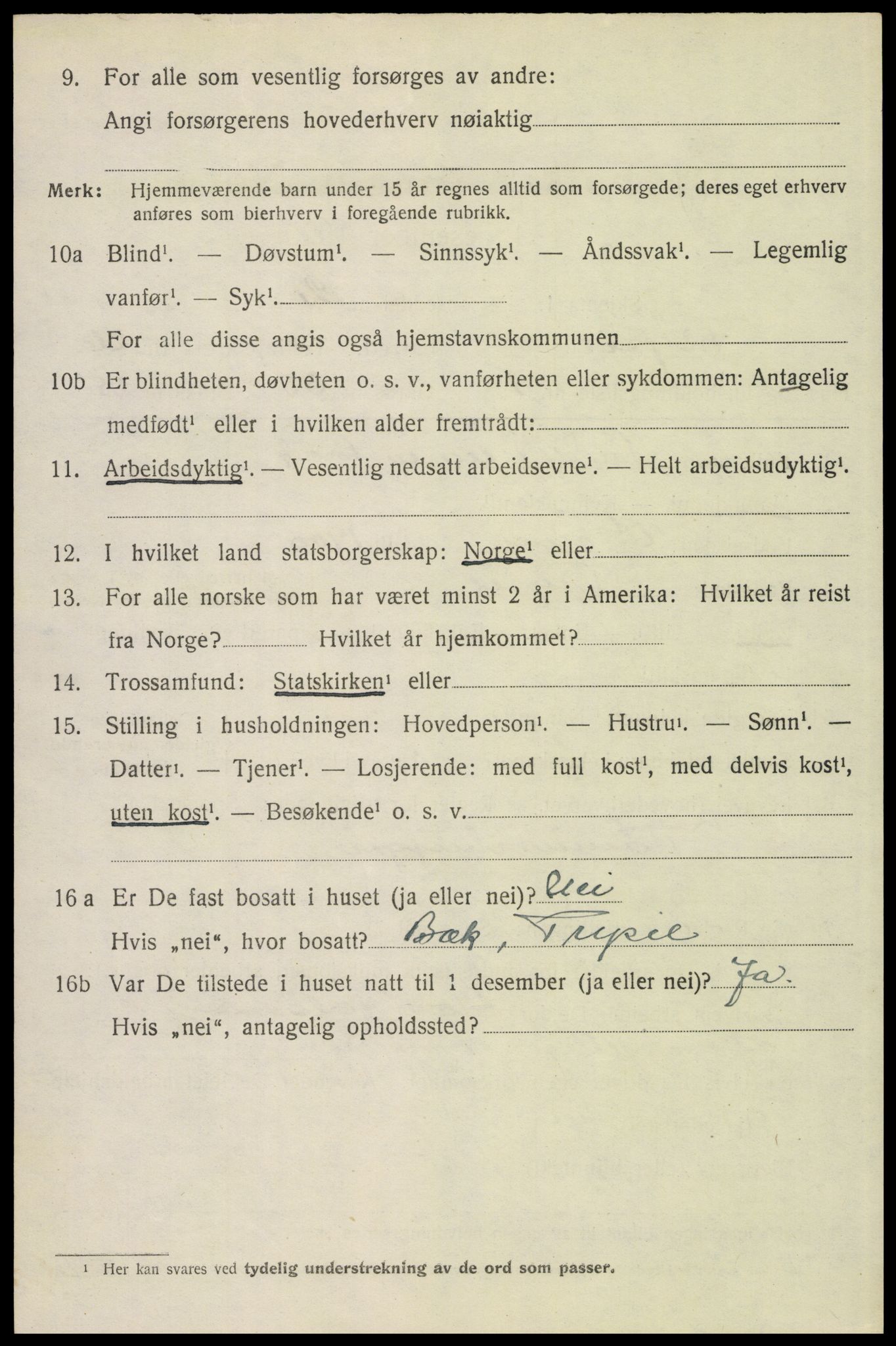 SAH, 1920 census for Trysil, 1920, p. 16114