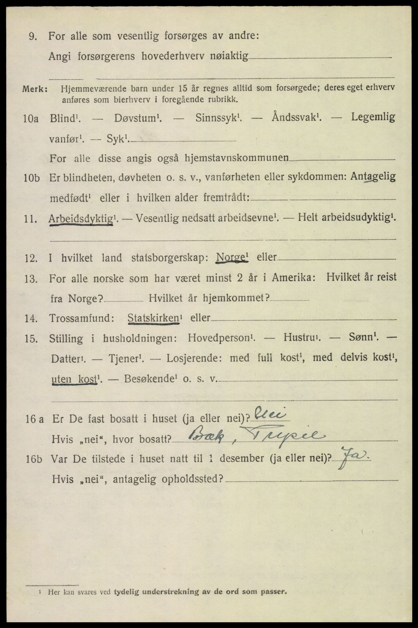 SAH, 1920 census for Trysil, 1920, p. 16114