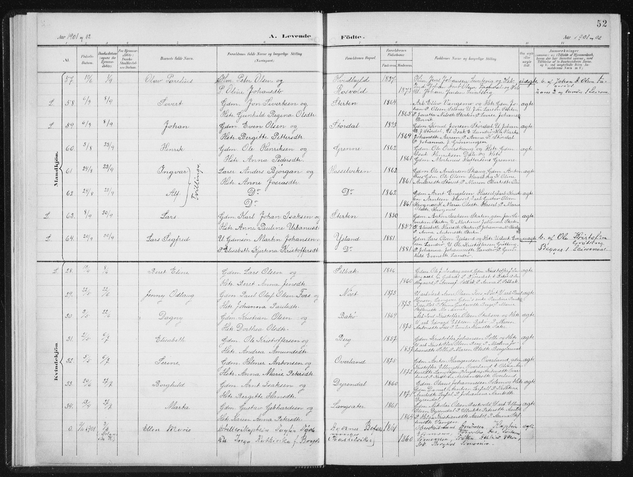 Ministerialprotokoller, klokkerbøker og fødselsregistre - Sør-Trøndelag, AV/SAT-A-1456/647/L0635: Parish register (official) no. 647A02, 1896-1911, p. 52