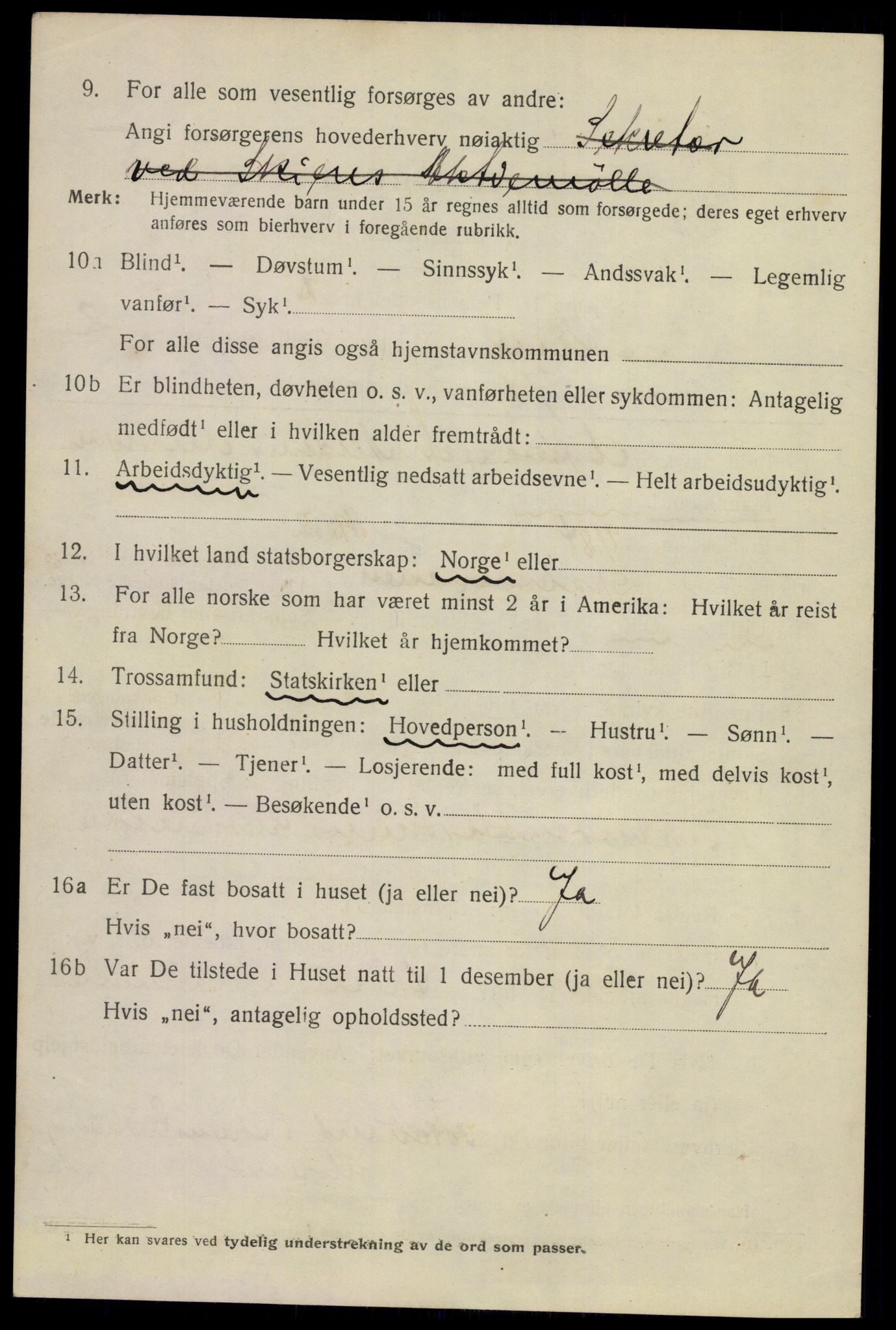 SAKO, 1920 census for Skien, 1920, p. 14381