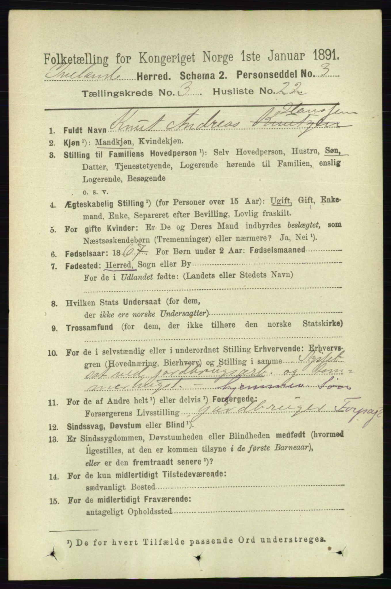 RA, 1891 census for 0935 Iveland, 1891, p. 870