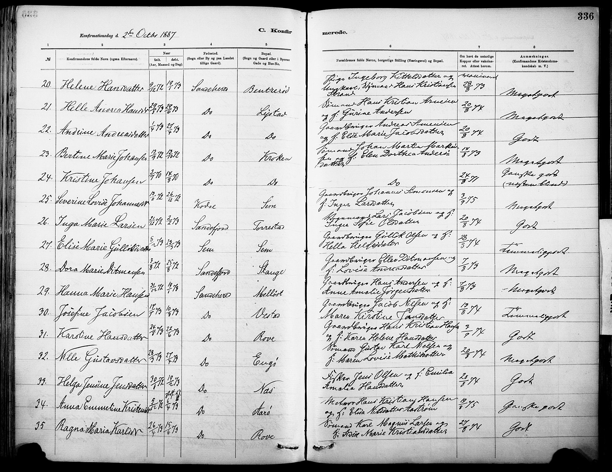 Sandar kirkebøker, AV/SAKO-A-243/F/Fa/L0012: Parish register (official) no. 12, 1883-1895, p. 336