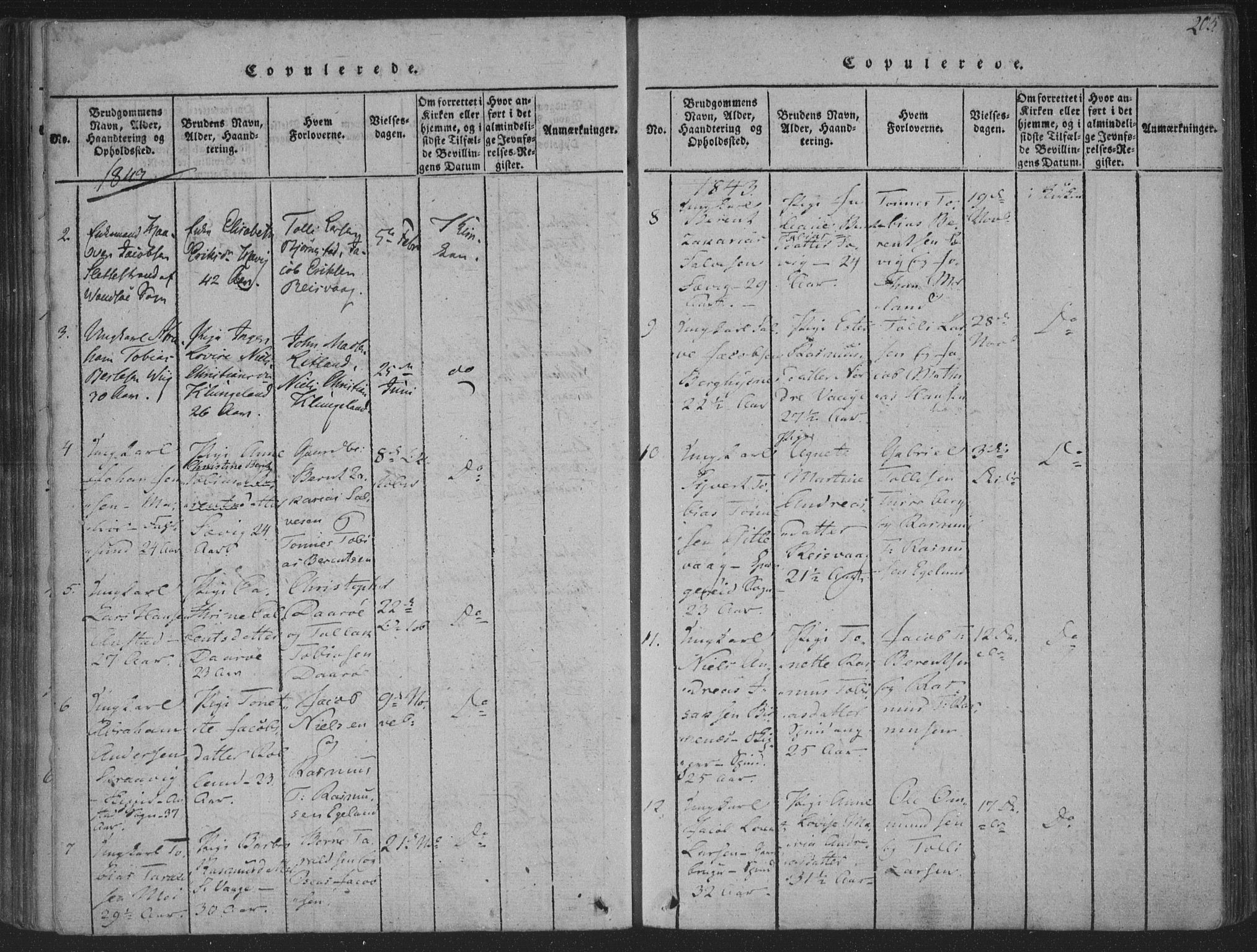Herad sokneprestkontor, SAK/1111-0018/F/Fa/Fab/L0002: Parish register (official) no. A 2, 1816-1844, p. 205