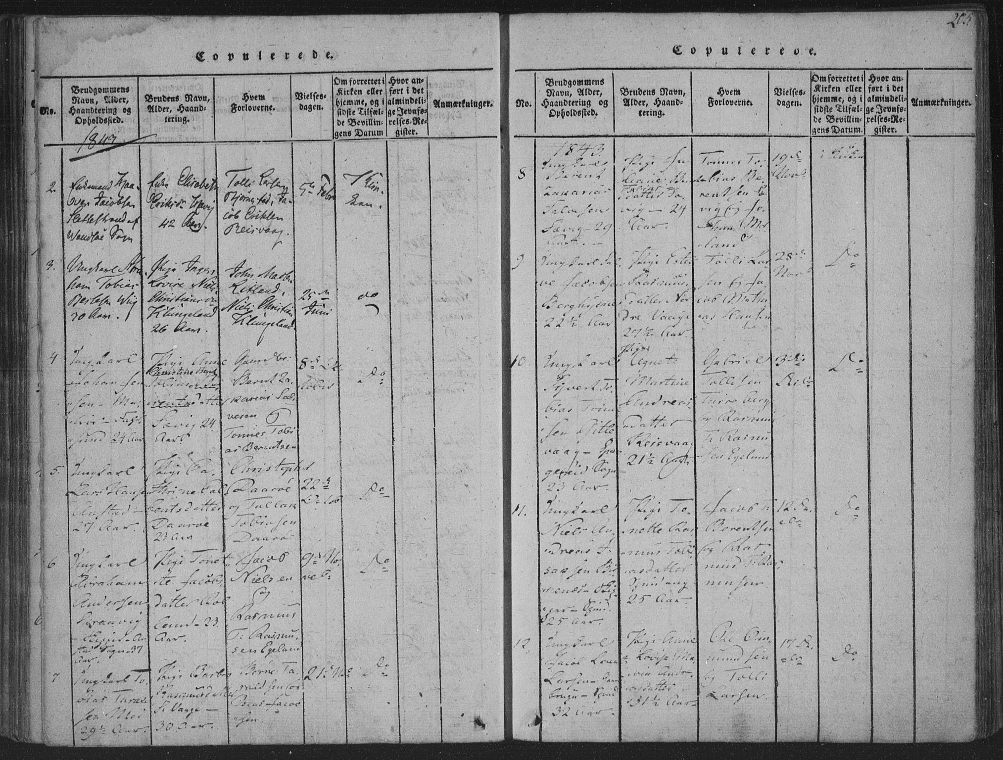 Herad sokneprestkontor, AV/SAK-1111-0018/F/Fa/Fab/L0002: Parish register (official) no. A 2, 1816-1844, p. 205