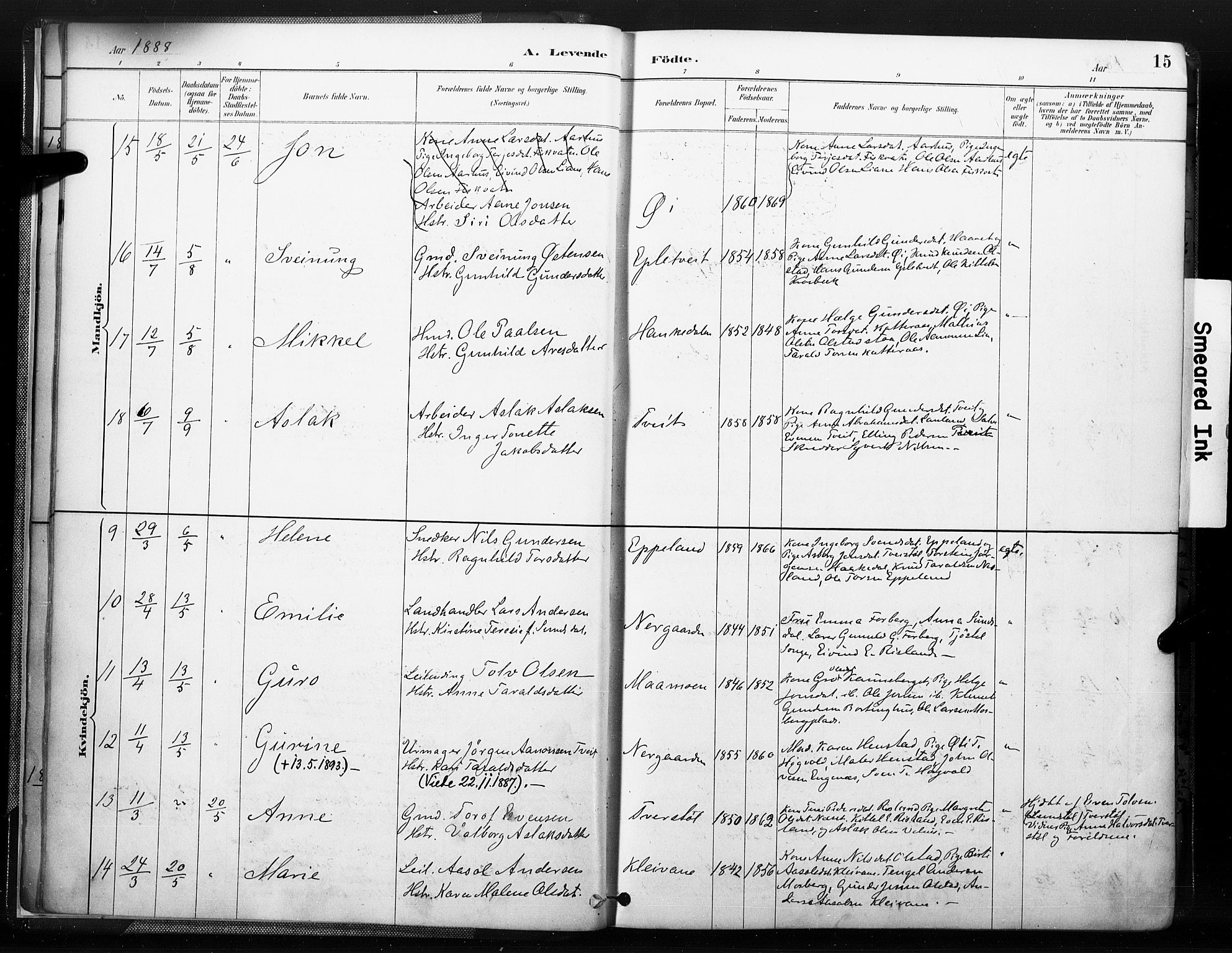 Åmli sokneprestkontor, SAK/1111-0050/F/Fa/Fac/L0010: Parish register (official) no. A 10 /1, 1885-1899, p. 15