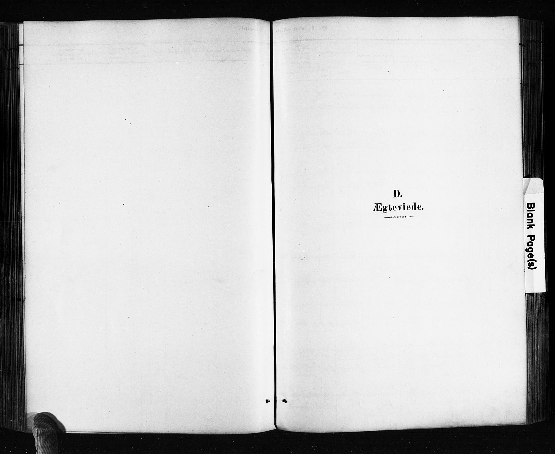 Søndeled sokneprestkontor, SAK/1111-0038/F/Fa/L0004: Parish register (official) no. A 4, 1880-1889, p. 232