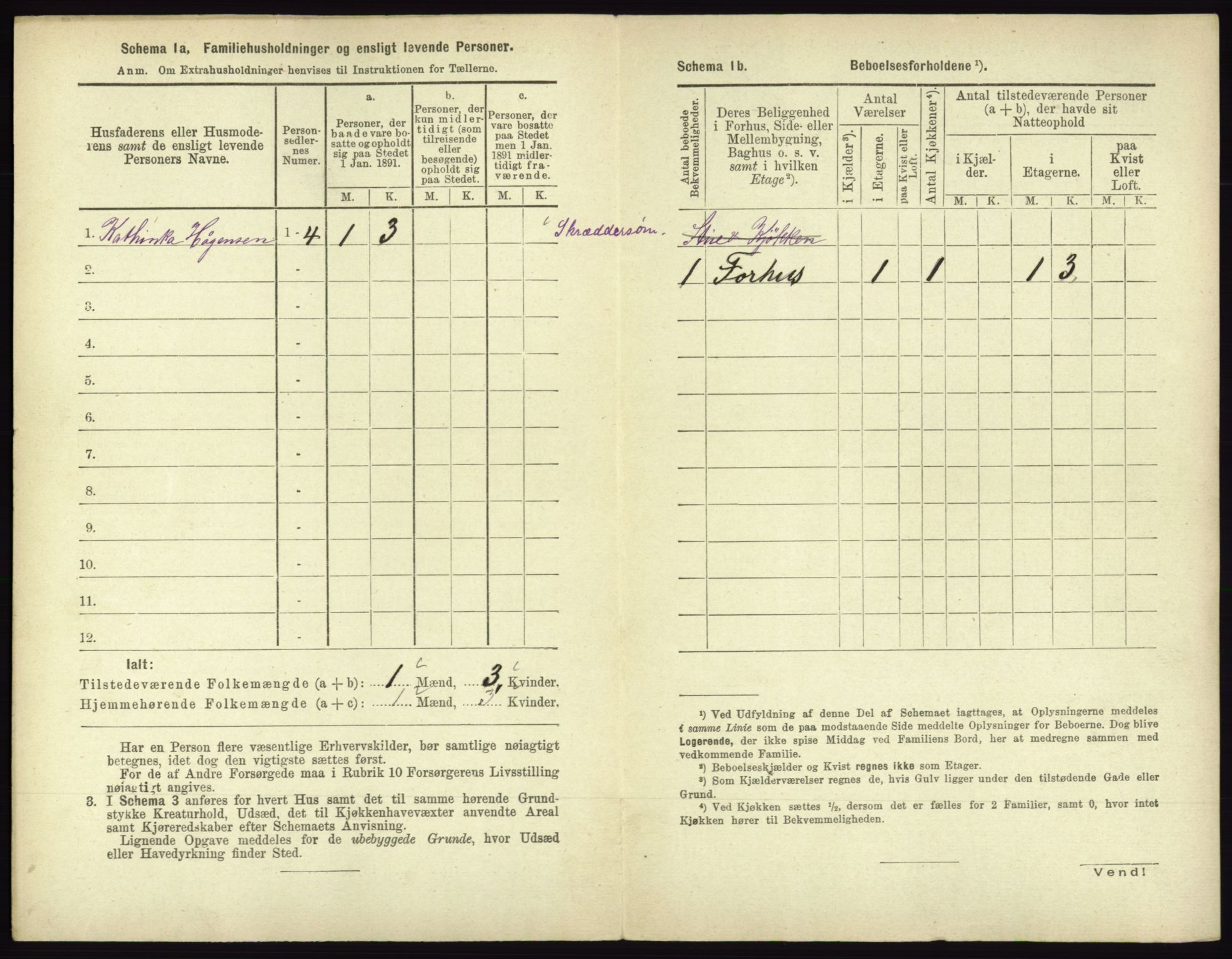 RA, 1891 census for 0602 Drammen, 1891, p. 1390