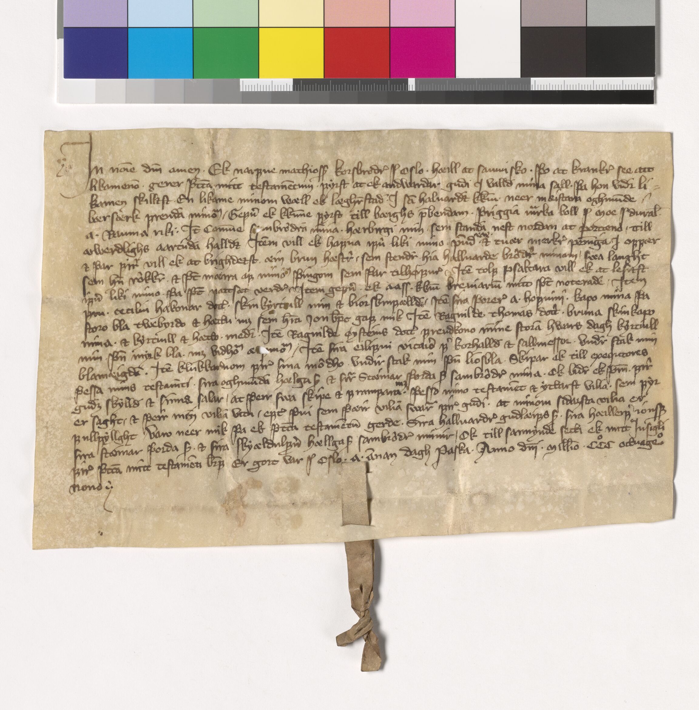 Riksarkivets diplomsamling, AV/RA-EA-5965/F05/L0187: NRA AM fasc. 75 nr. 20 - fasc. 76 nr. 12, 1388-1389, p. 12