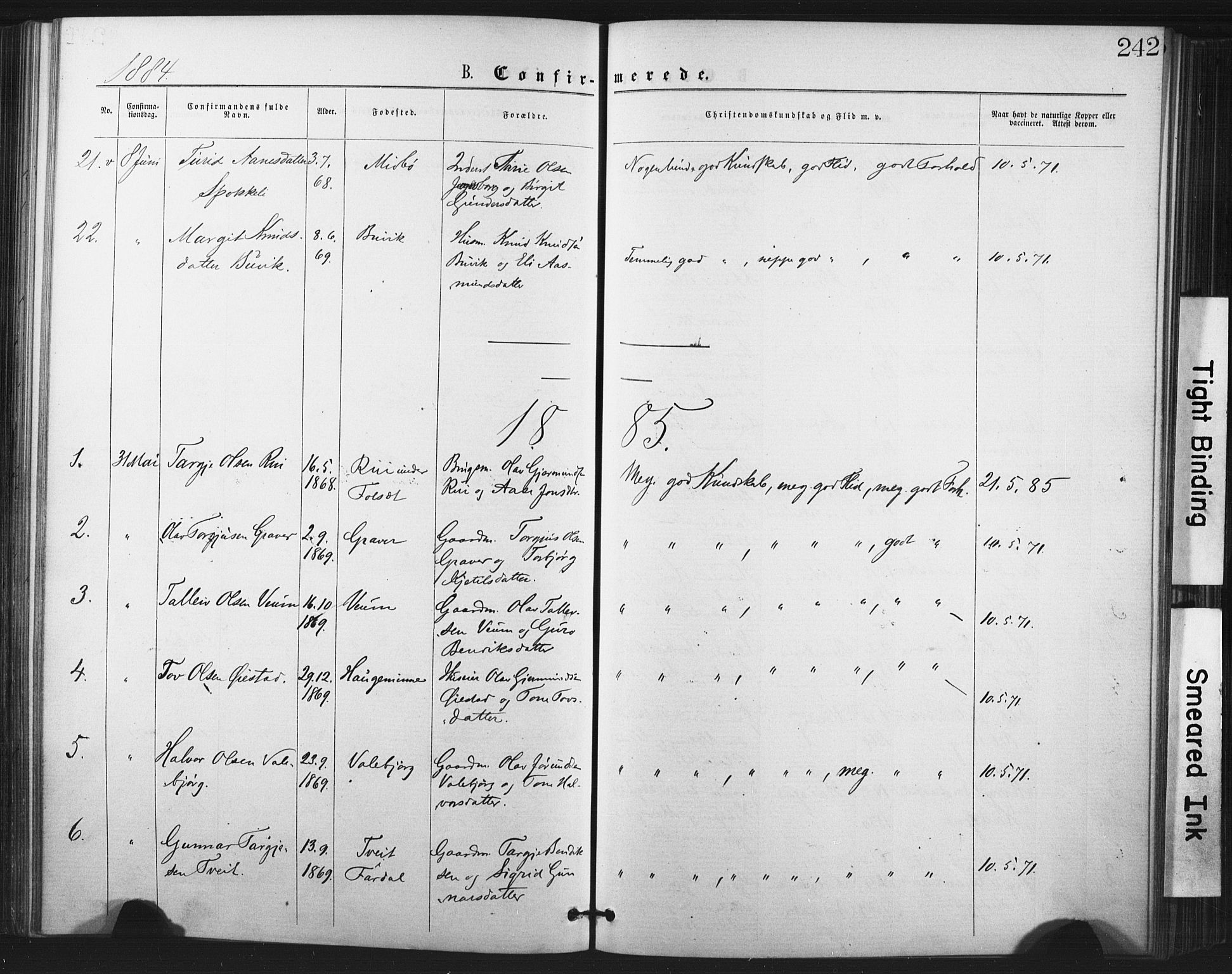 Fyresdal kirkebøker, SAKO/A-263/F/Fa/L0006: Parish register (official) no. I 6, 1872-1886, p. 242