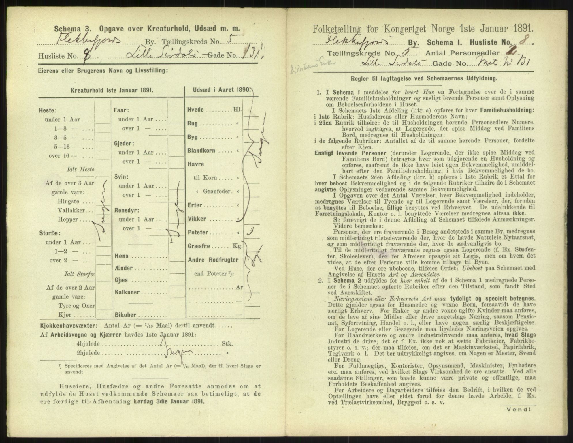 RA, 1891 census for 1004 Flekkefjord, 1891, p. 220