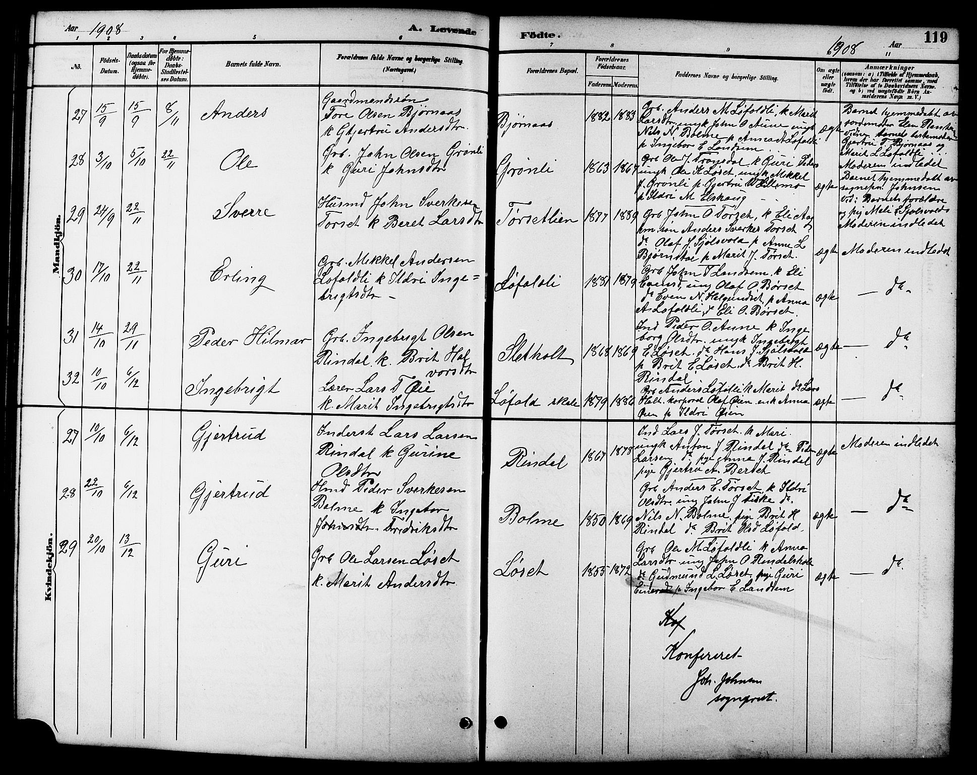 Ministerialprotokoller, klokkerbøker og fødselsregistre - Møre og Romsdal, AV/SAT-A-1454/598/L1078: Parish register (copy) no. 598C03, 1892-1909, p. 119