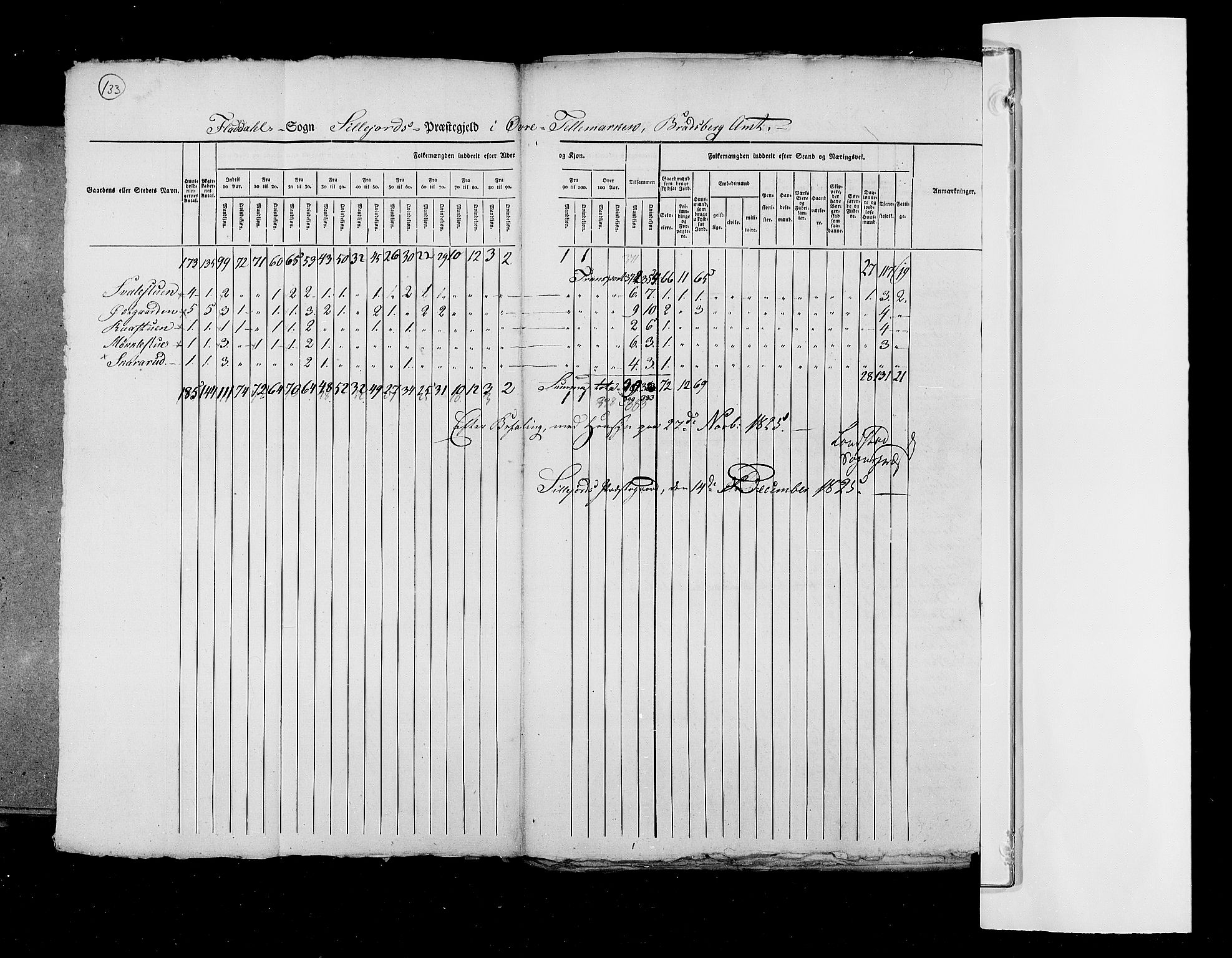 RA, Census 1825, vol. 9: Bratsberg amt, 1825, p. 133