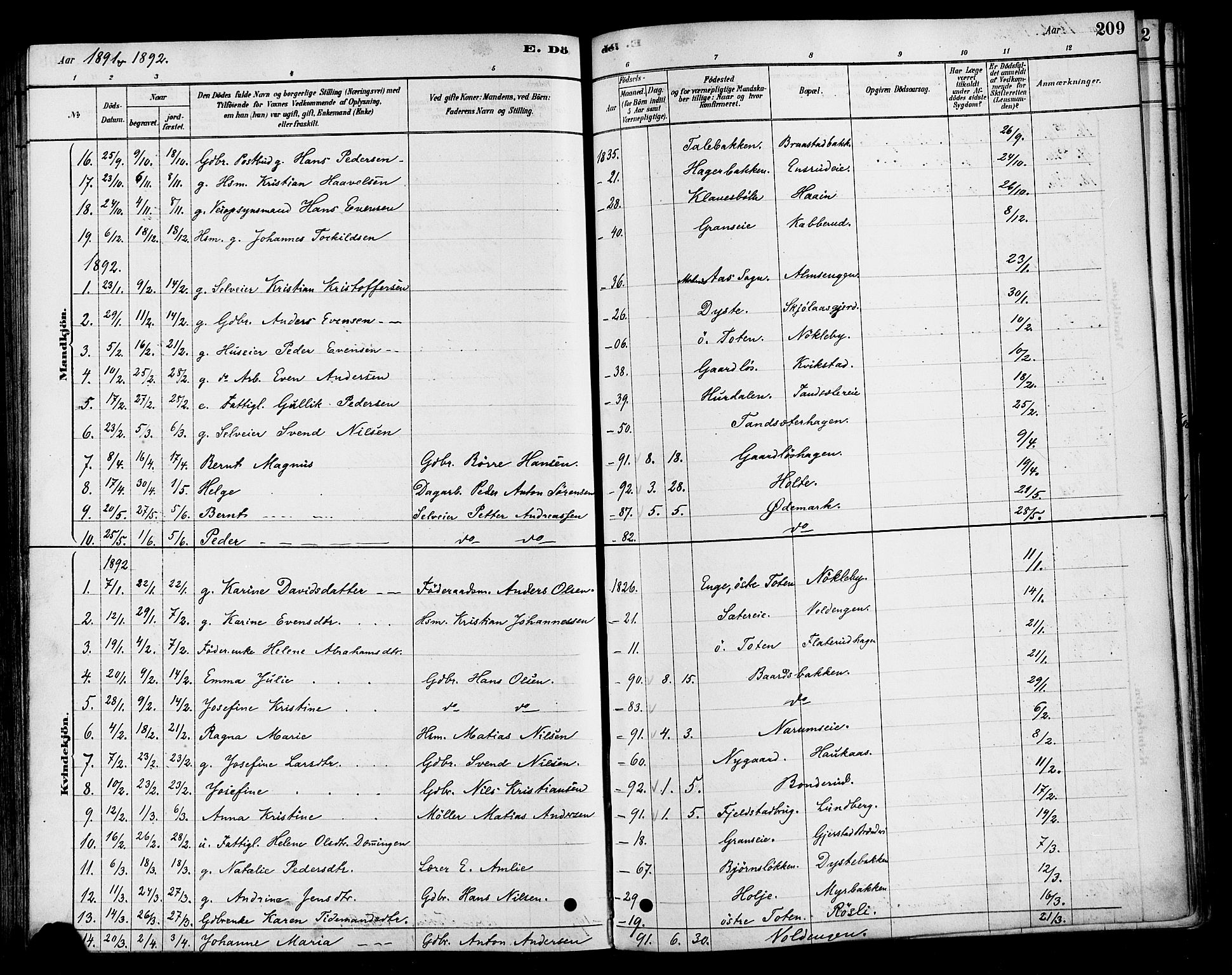 Vestre Toten prestekontor, SAH/PREST-108/H/Ha/Haa/L0010: Parish register (official) no. 10, 1878-1894, p. 209