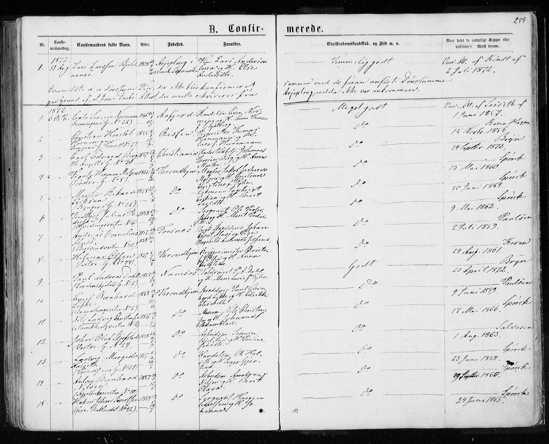 Ministerialprotokoller, klokkerbøker og fødselsregistre - Sør-Trøndelag, AV/SAT-A-1456/601/L0054: Parish register (official) no. 601A22, 1866-1877, p. 259