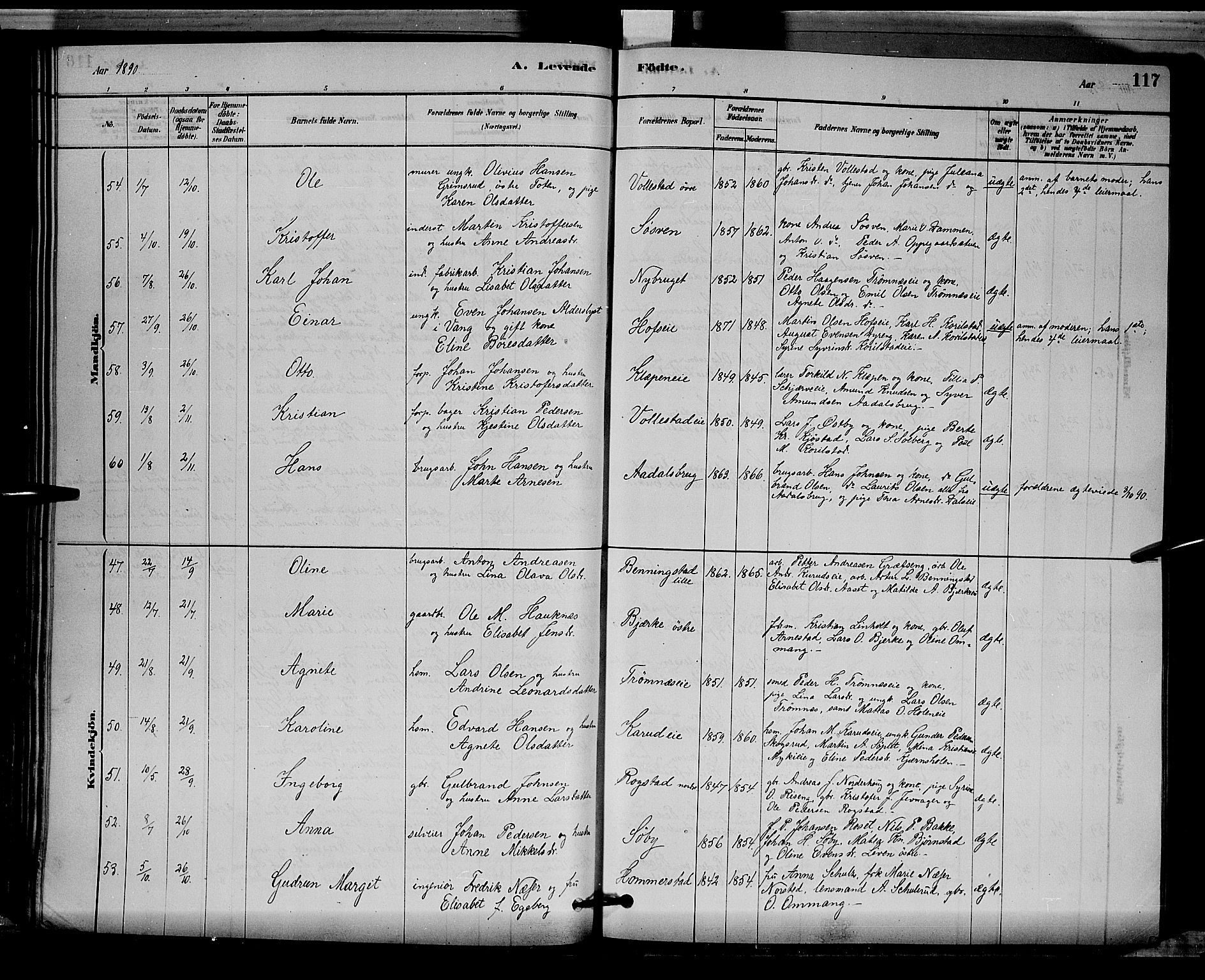Løten prestekontor, SAH/PREST-022/L/La/L0005: Parish register (copy) no. 5, 1878-1891, p. 117
