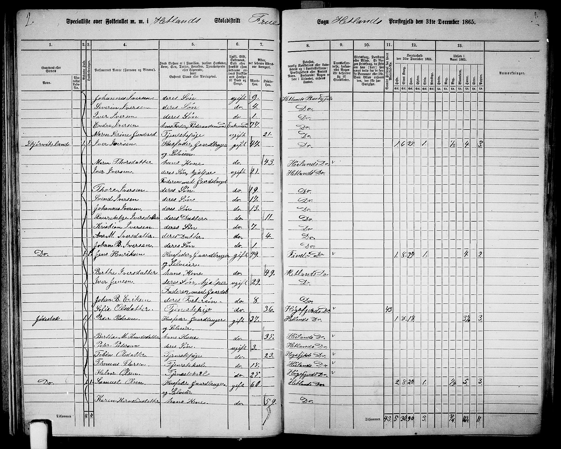 RA, 1865 census for Hetland, 1865, p. 33