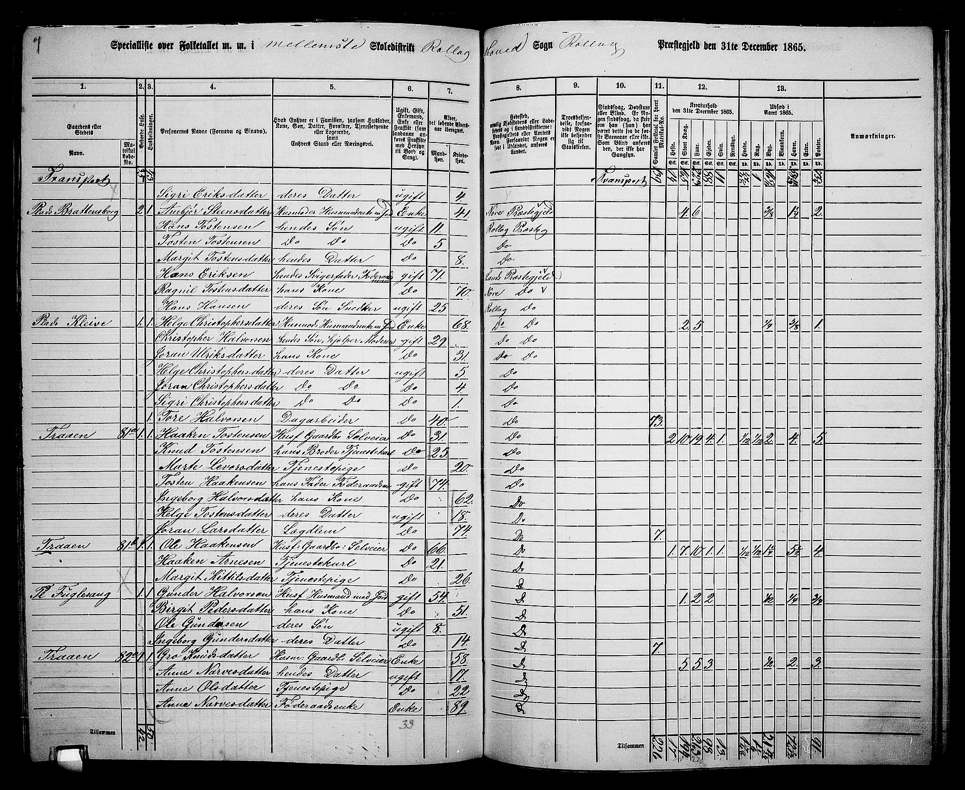RA, 1865 census for Rollag, 1865, p. 33