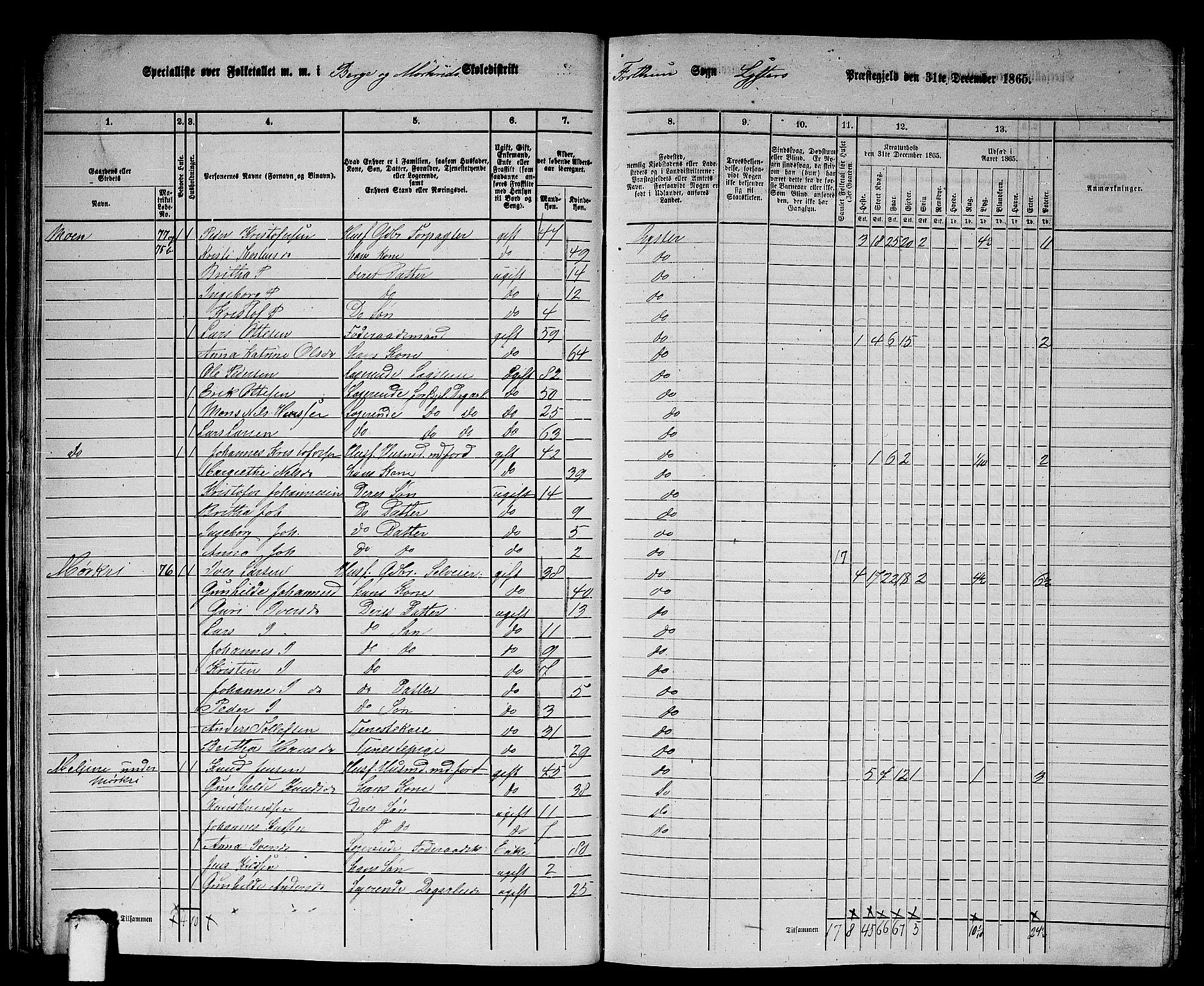 RA, 1865 census for Luster, 1865, p. 26