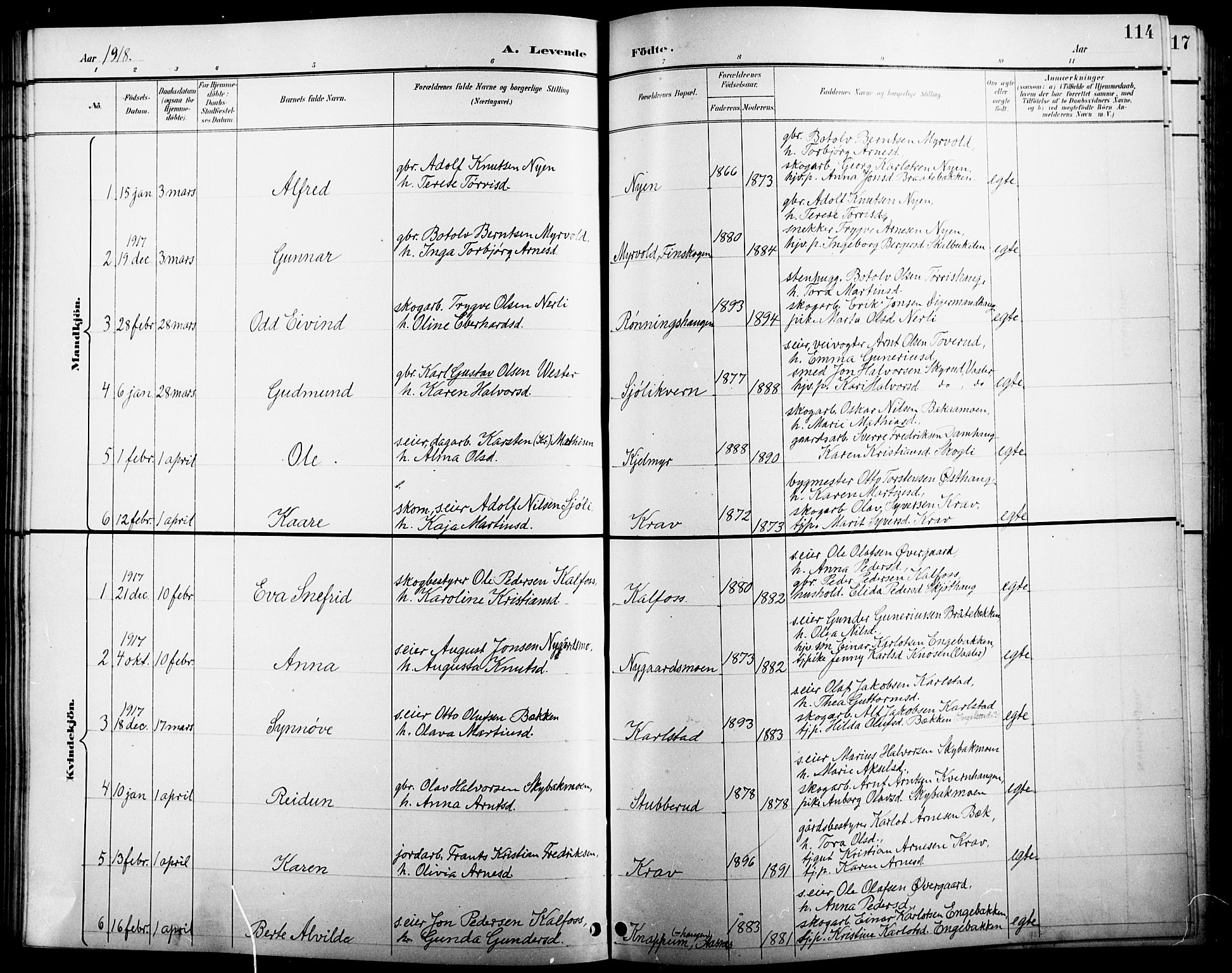 Åsnes prestekontor, AV/SAH-PREST-042/H/Ha/Hab/L0005: Parish register (copy) no. 5, 1895-1920, p. 114