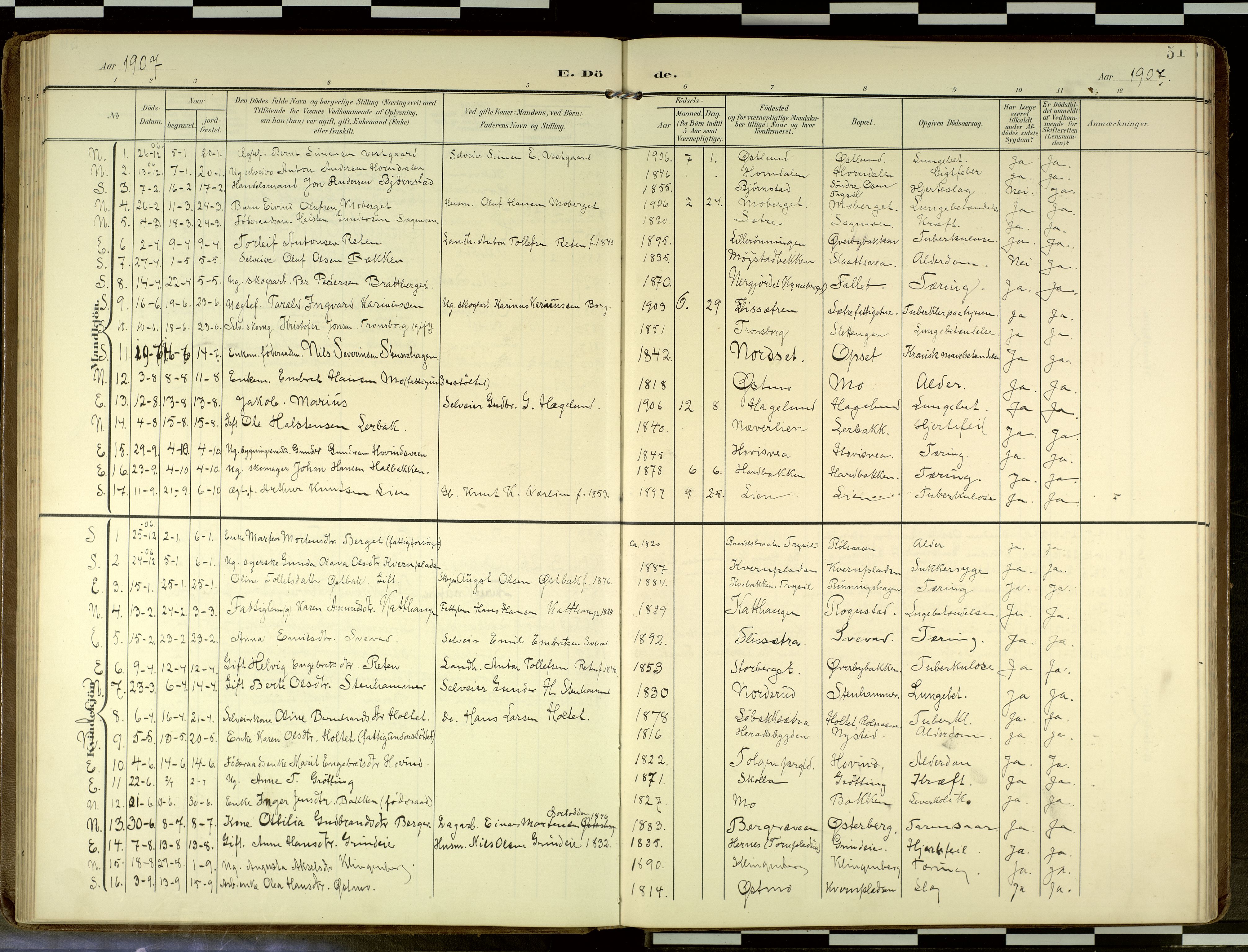 Elverum prestekontor, SAH/PREST-044/H/Ha/Haa/L0019: Parish register (official) no. 19, 1903-1926, p. 51