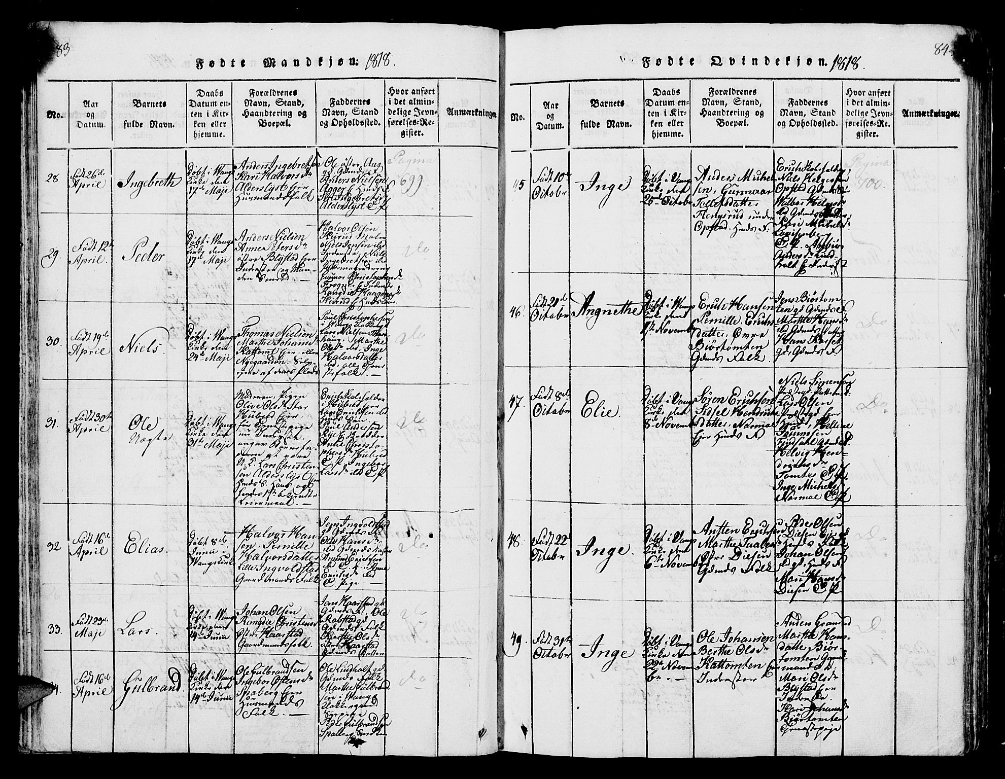 Vang prestekontor, Hedmark, AV/SAH-PREST-008/H/Ha/Hab/L0004: Parish register (copy) no. 4, 1813-1827, p. 83-84