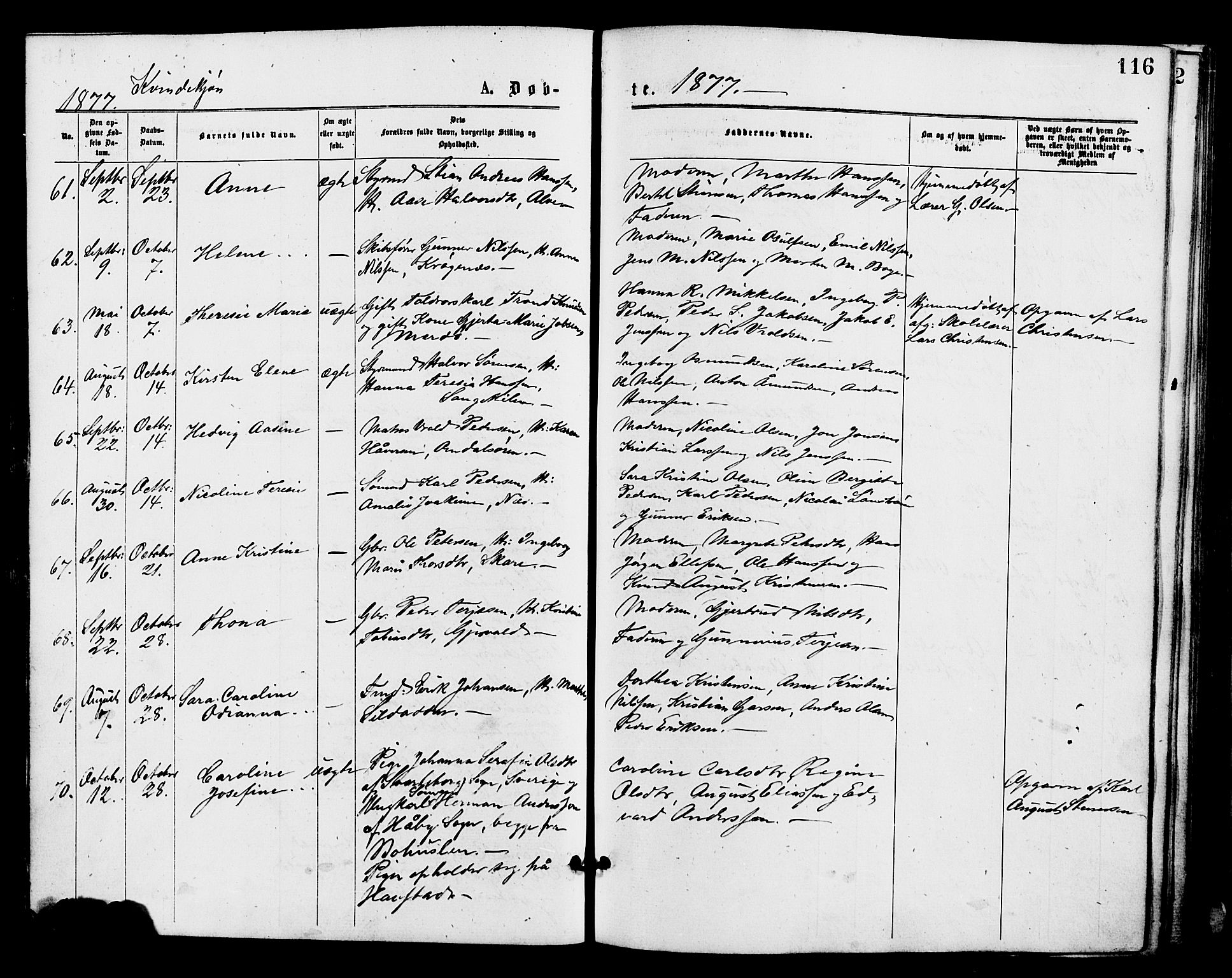 Barbu sokneprestkontor, AV/SAK-1111-0003/F/Fa/L0001: Parish register (official) no. A 1 /2, 1877-1877, p. 116