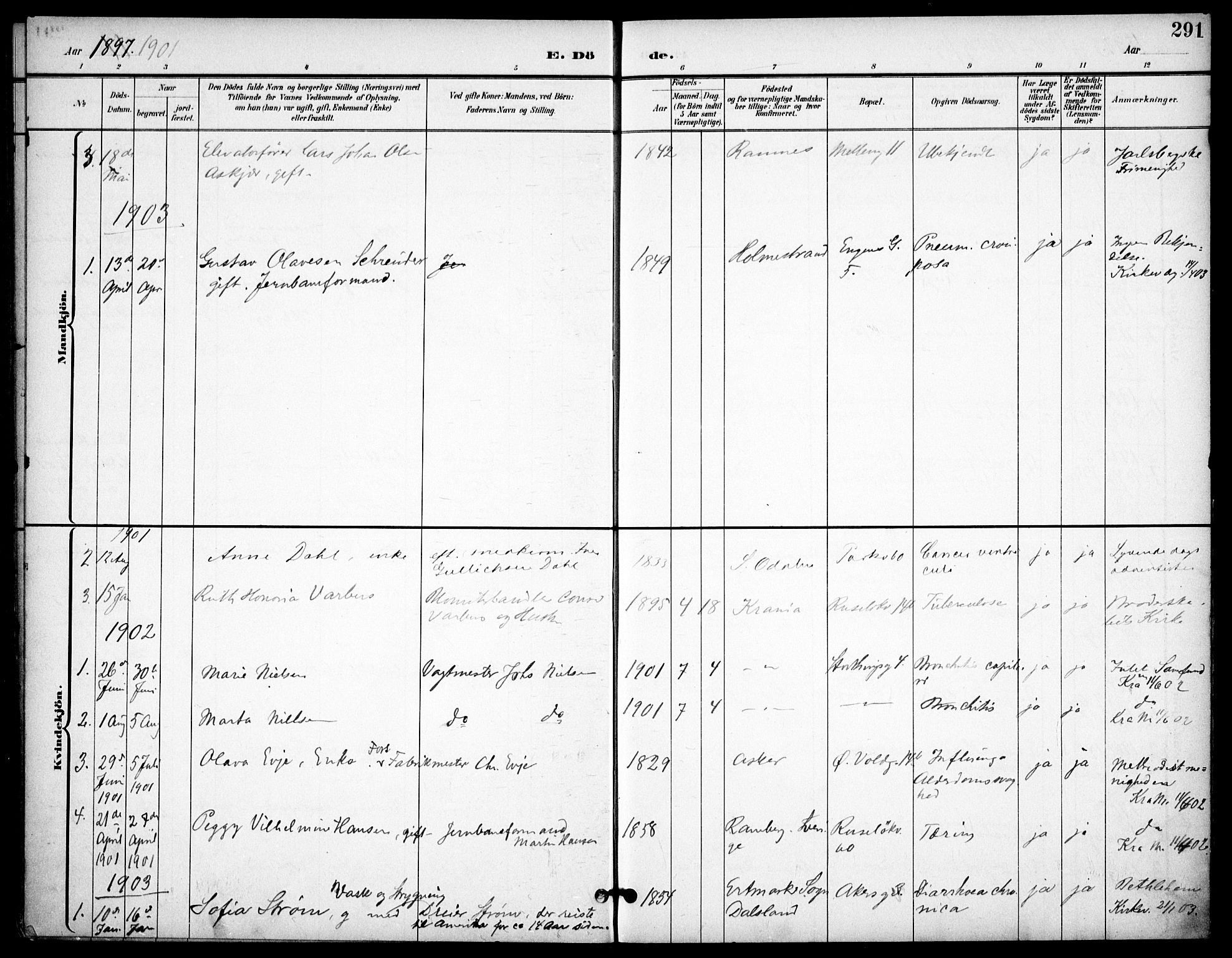 Johannes prestekontor Kirkebøker, AV/SAO-A-10852/F/Fa/L0008: Parish register (official) no. 8, 1897-1917, p. 291