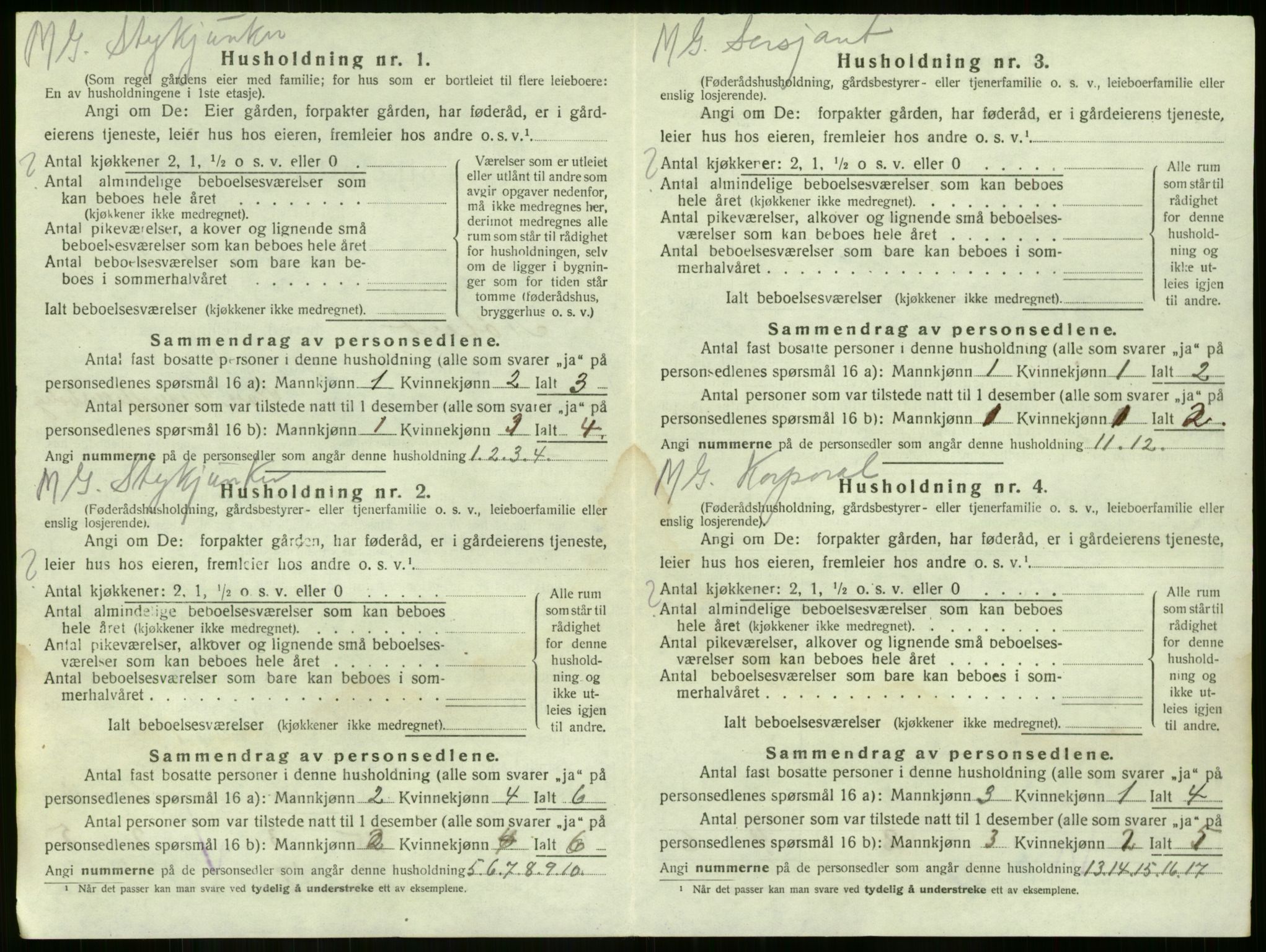 SAKO, 1920 census for Nøtterøy, 1920, p. 2443