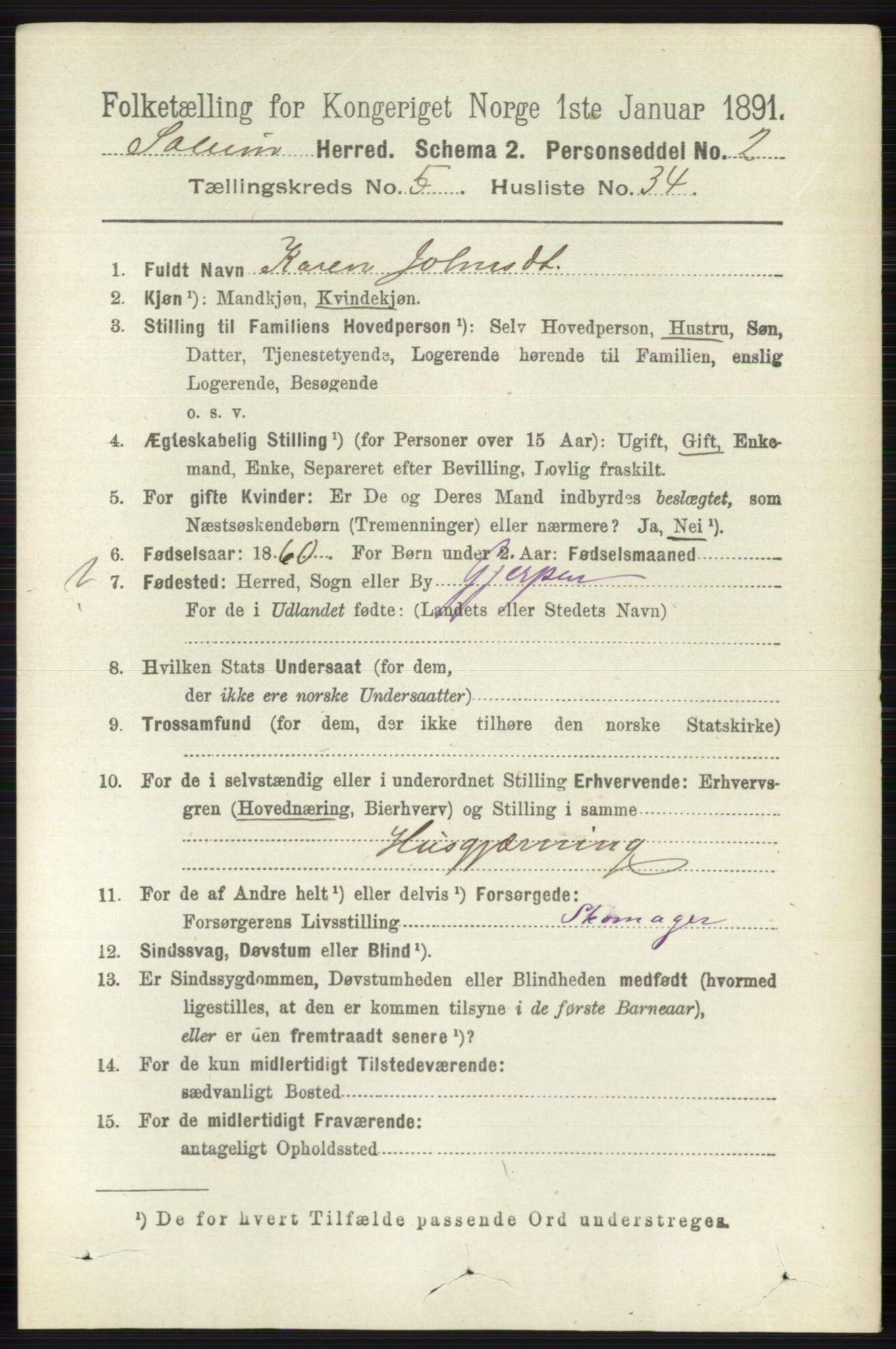 RA, 1891 census for 0818 Solum, 1891, p. 1043