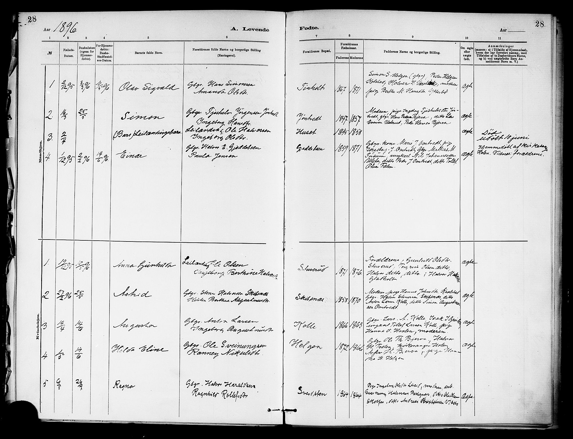 Holla kirkebøker, SAKO/A-272/F/Fa/L0009: Parish register (official) no. 9, 1881-1897, p. 28