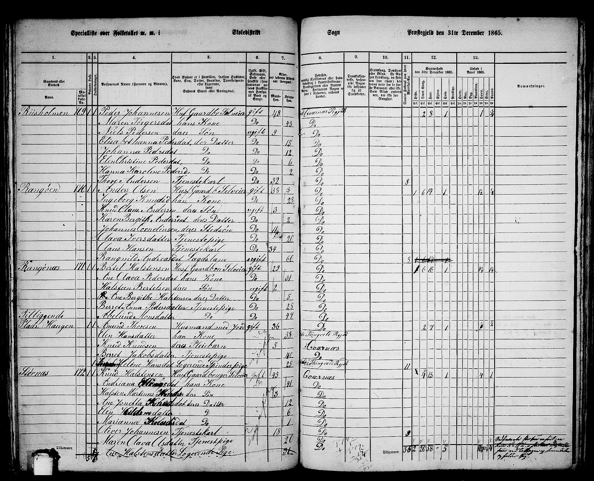 RA, 1865 census for Kvernes, 1865, p. 156