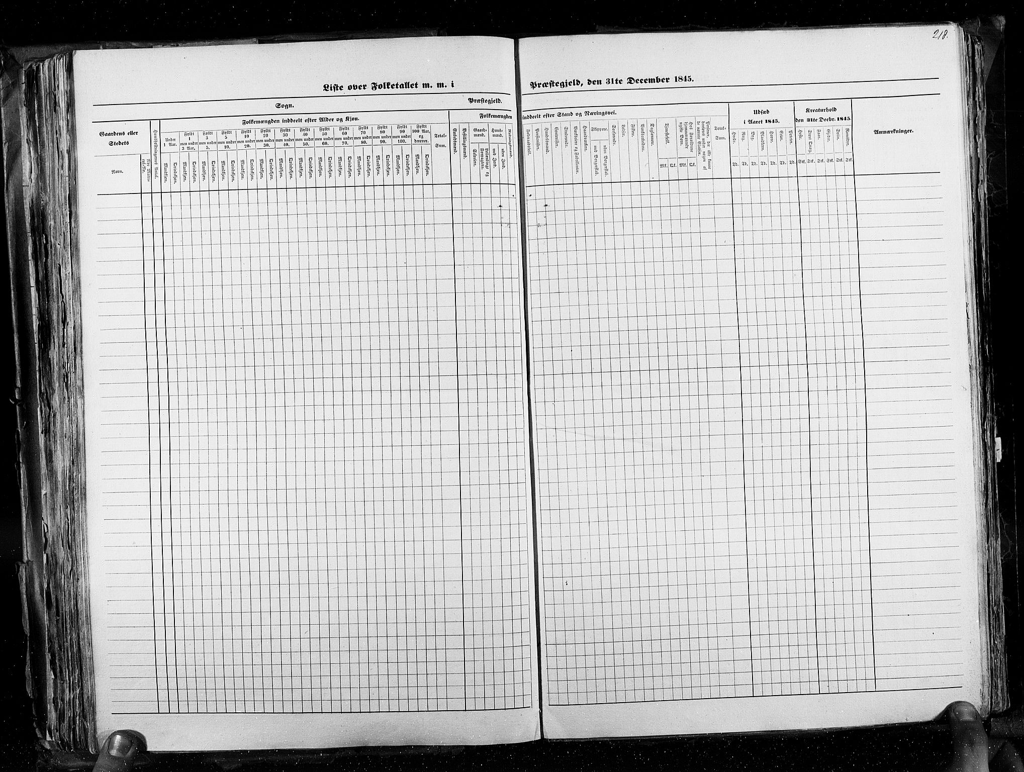 RA, Census 1845, vol. 3: Hedemarken amt og Kristians amt, 1845, p. 218