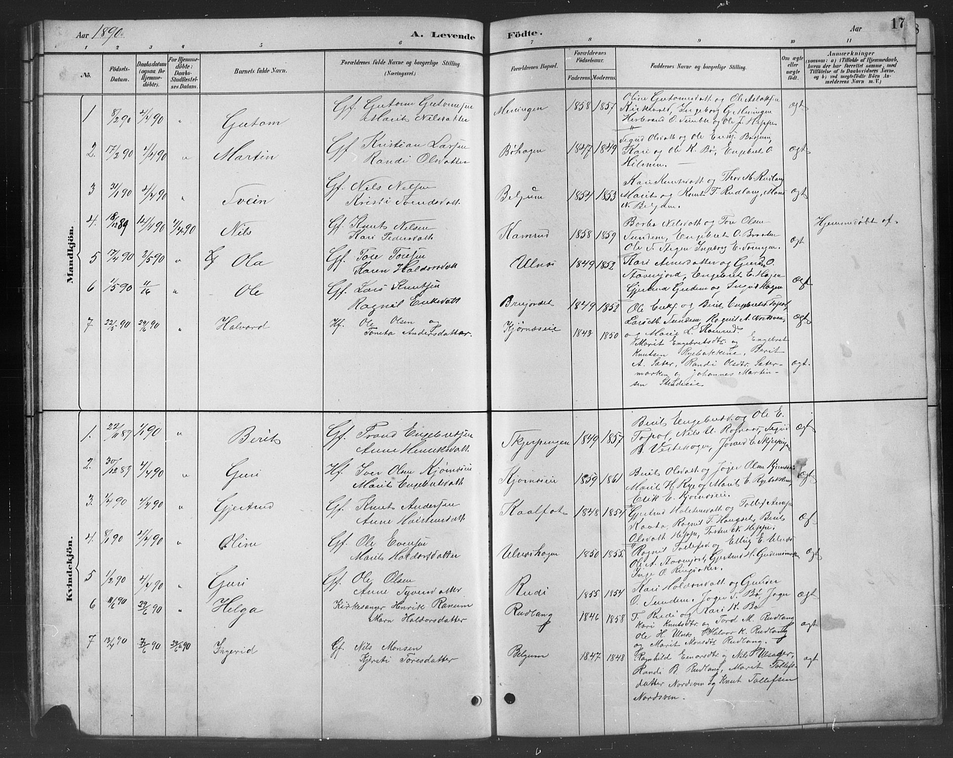 Nord-Aurdal prestekontor, SAH/PREST-132/H/Ha/Hab/L0008: Parish register (copy) no. 8, 1883-1916, p. 17