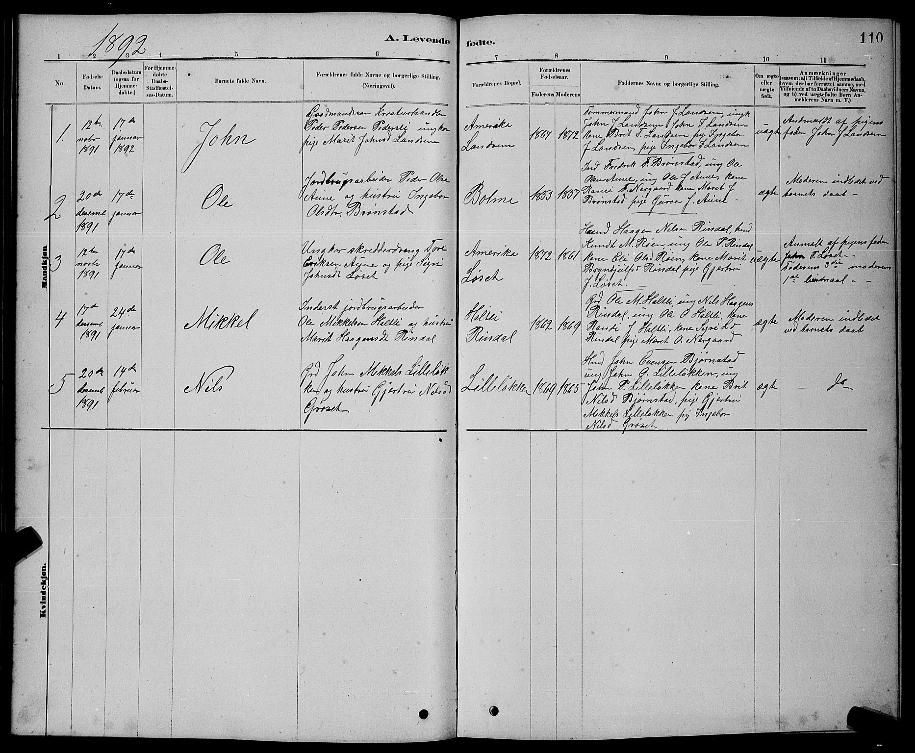 Ministerialprotokoller, klokkerbøker og fødselsregistre - Møre og Romsdal, AV/SAT-A-1454/598/L1077: Parish register (copy) no. 598C02, 1879-1891, p. 110