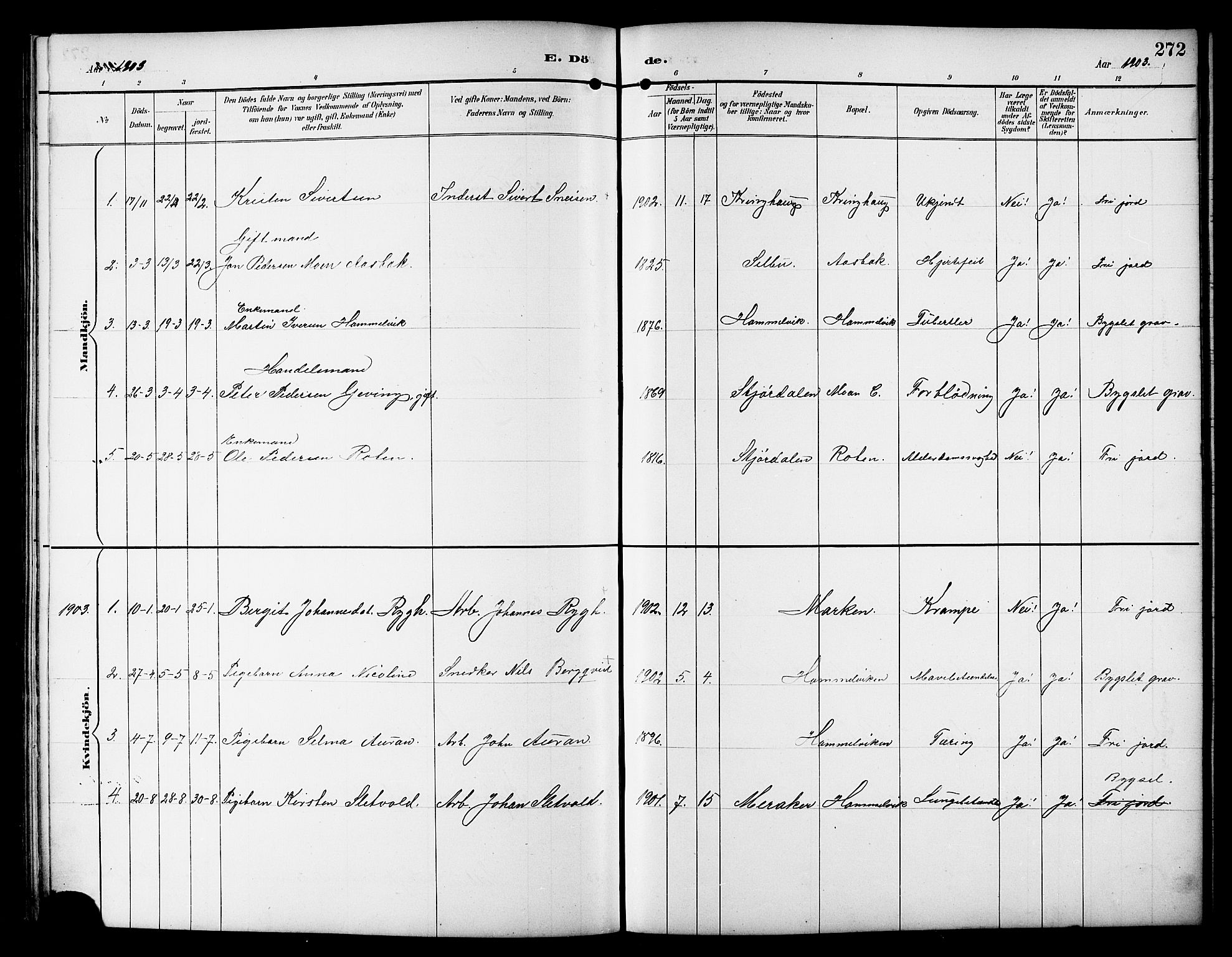 Ministerialprotokoller, klokkerbøker og fødselsregistre - Sør-Trøndelag, SAT/A-1456/617/L0431: Parish register (copy) no. 617C01, 1889-1910, p. 272