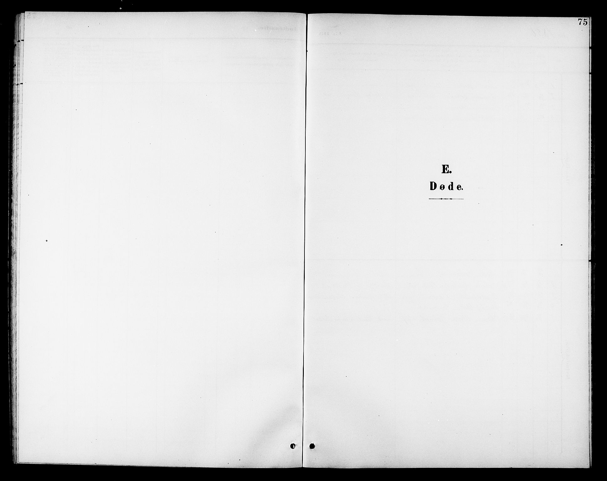 Ministerialprotokoller, klokkerbøker og fødselsregistre - Nordland, SAT/A-1459/811/L0170: Parish register (copy) no. 811C02, 1896-1908, p. 75