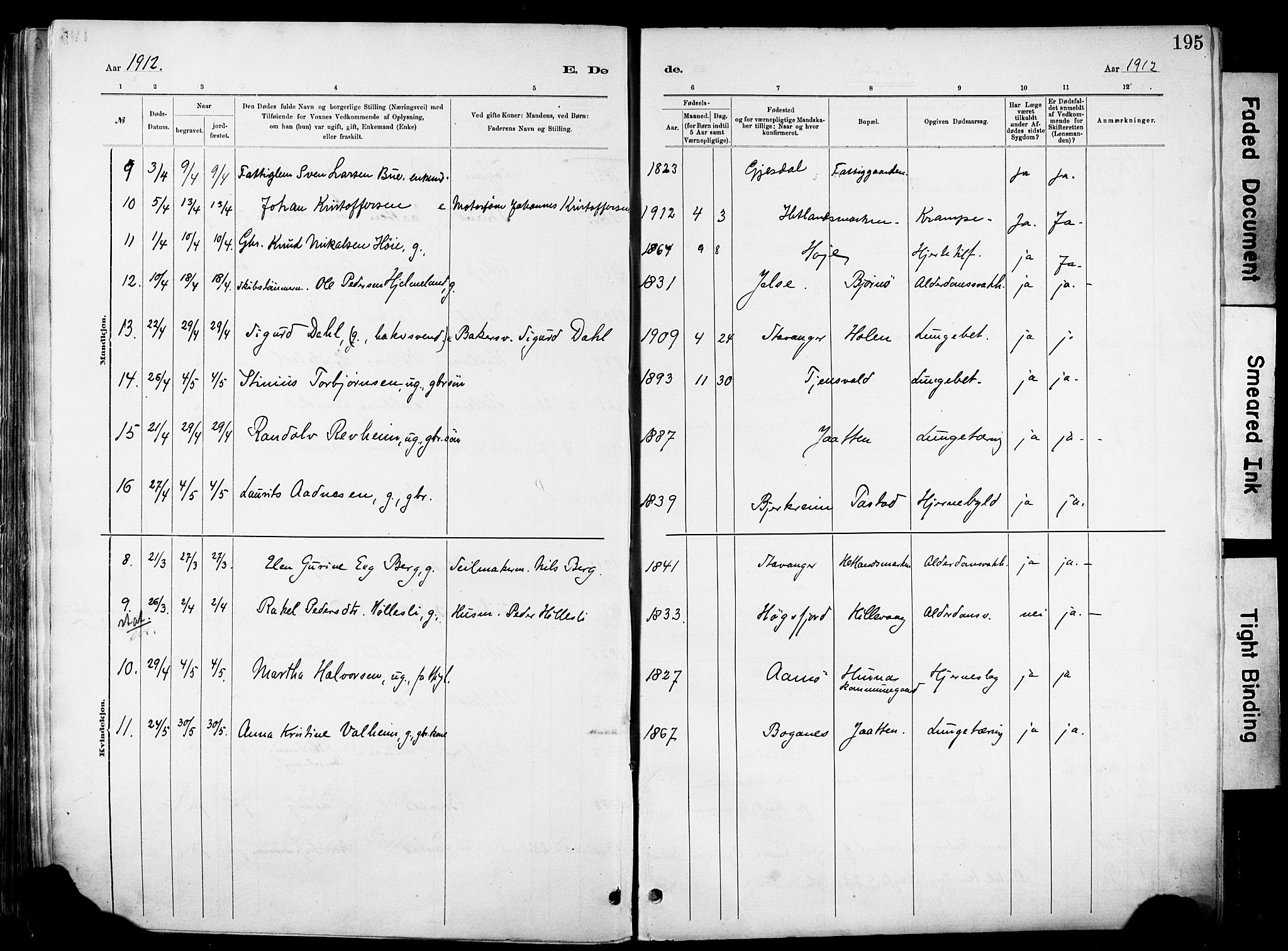 Hetland sokneprestkontor, AV/SAST-A-101826/30/30BA/L0012: Parish register (official) no. A 12, 1882-1912, p. 195