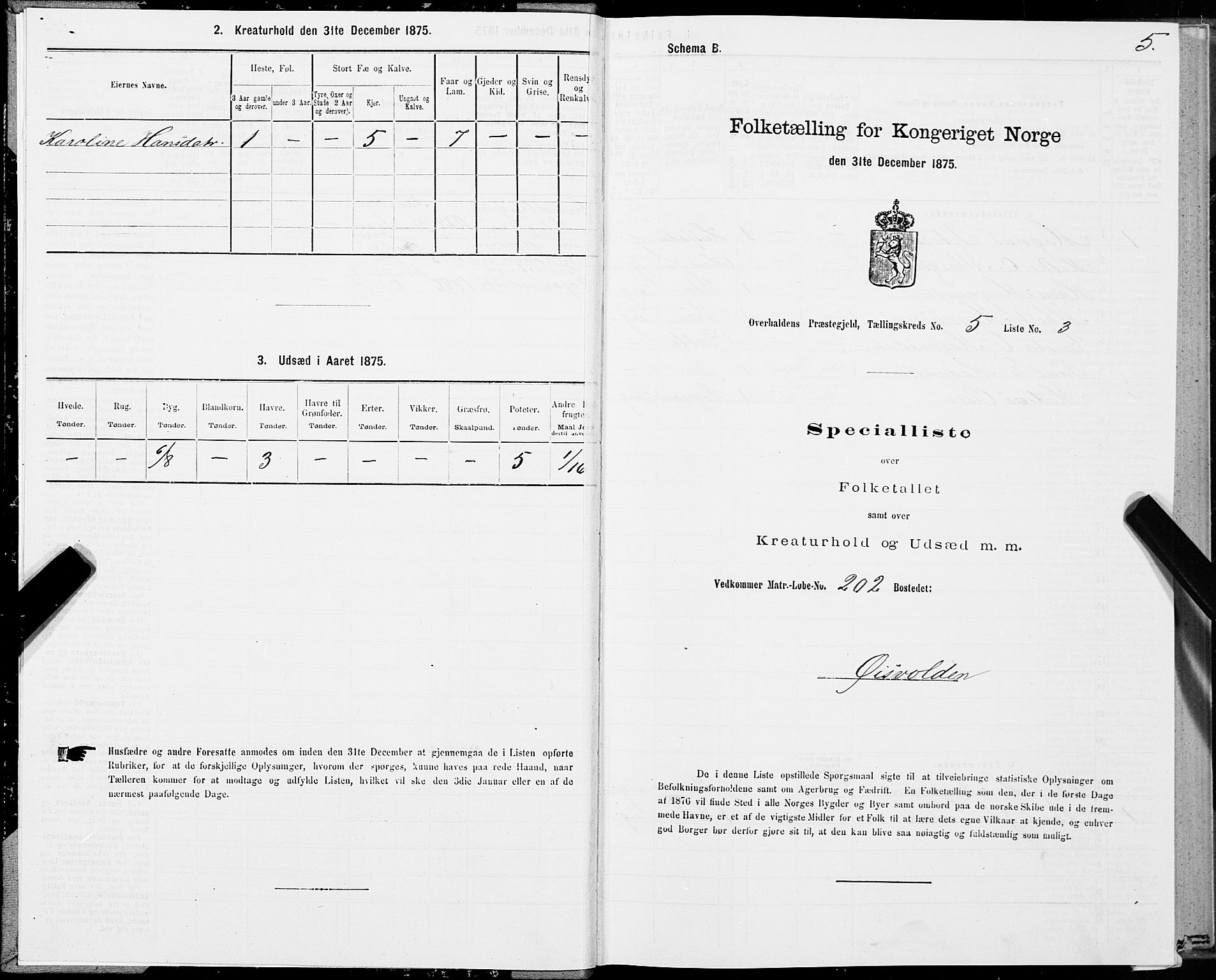 SAT, 1875 census for 1744P Overhalla, 1875, p. 3005