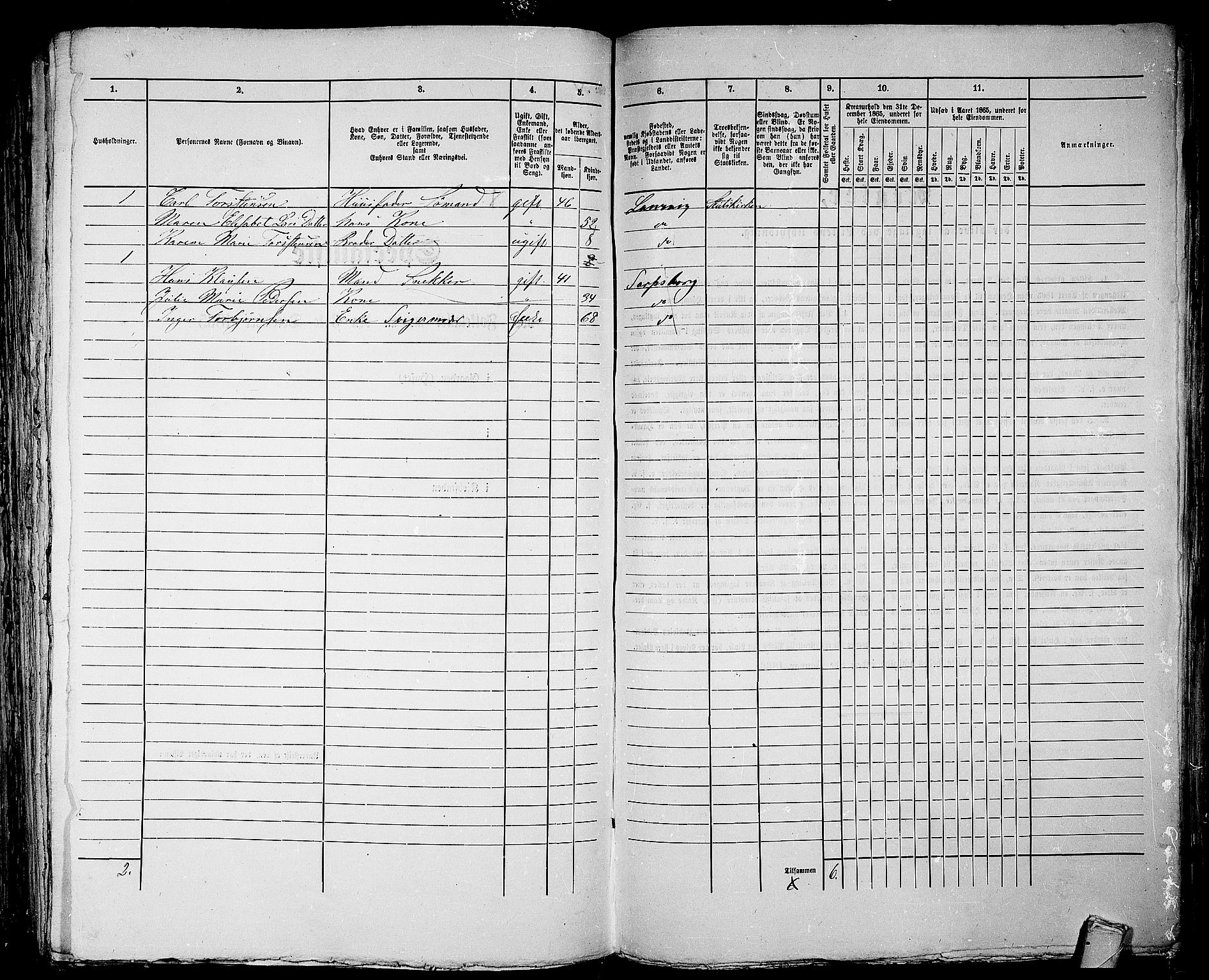 RA, 1865 census for Larvik, 1865, p. 1219