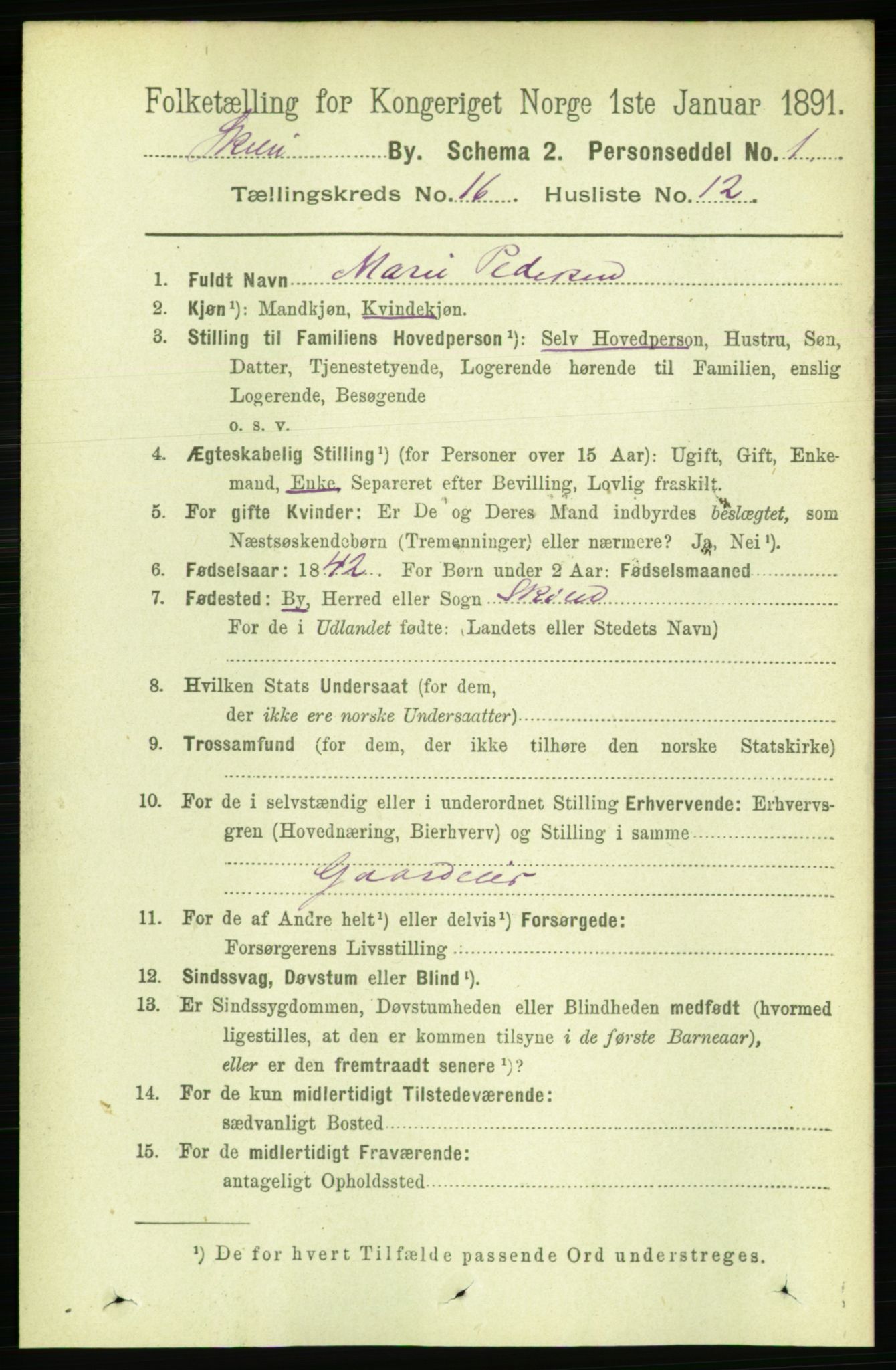 RA, 1891 census for 0806 Skien, 1891, p. 4634