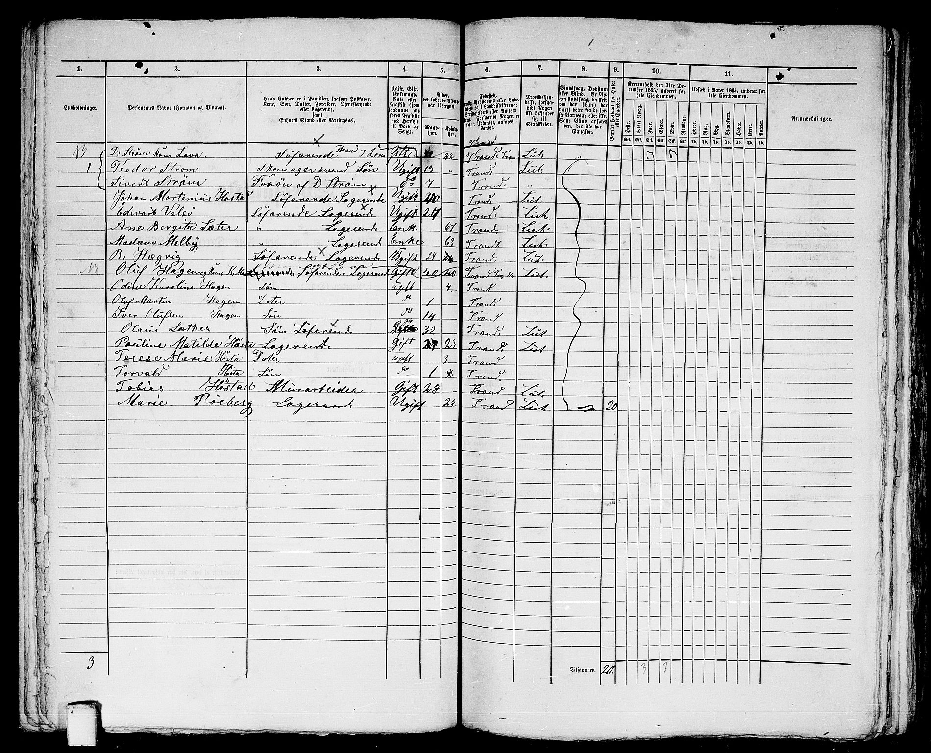 RA, 1865 census for Trondheim, 1865, p. 736