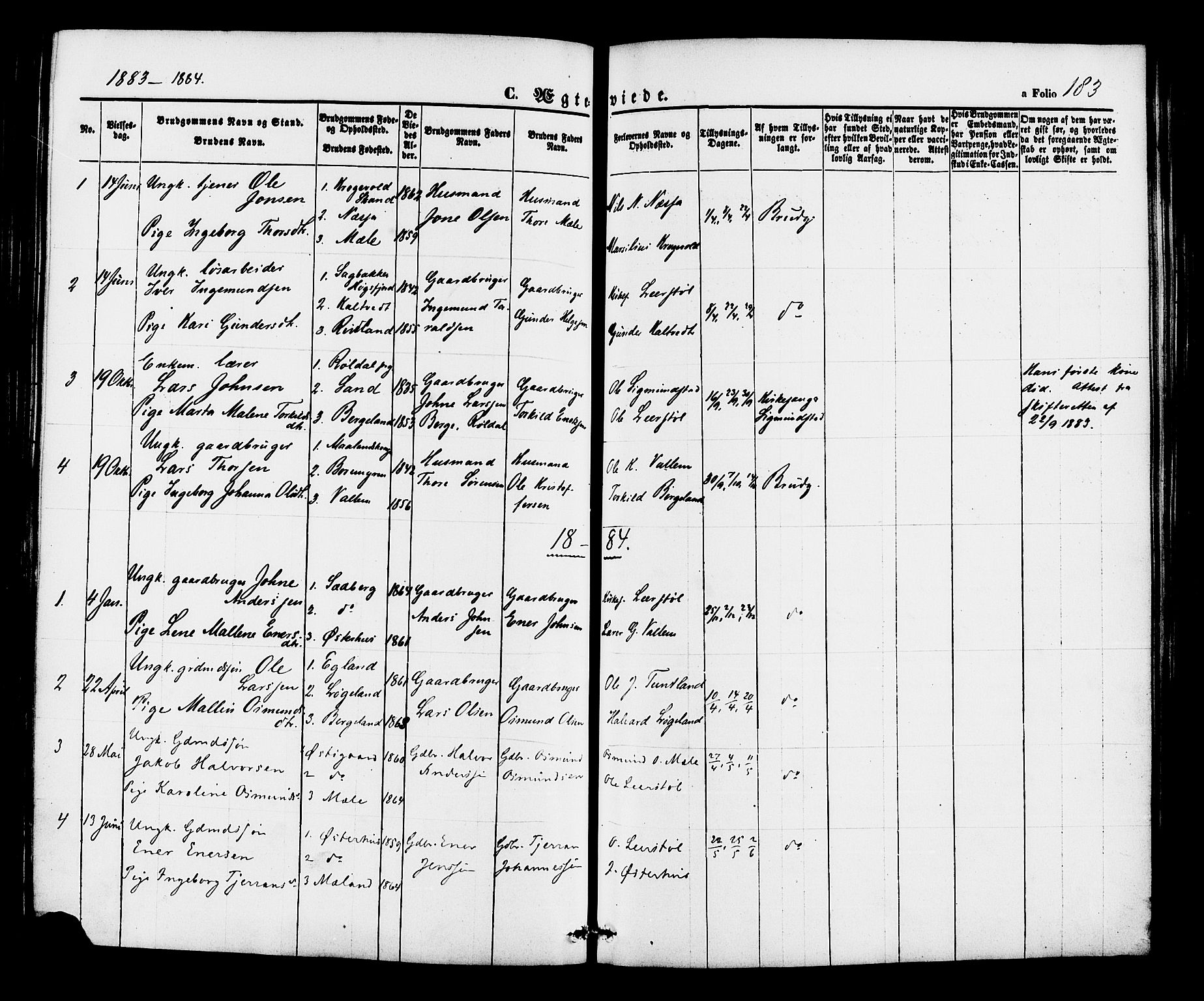 Hjelmeland sokneprestkontor, AV/SAST-A-101843/01/IV/L0012: Parish register (official) no. A 12, 1862-1886, p. 183