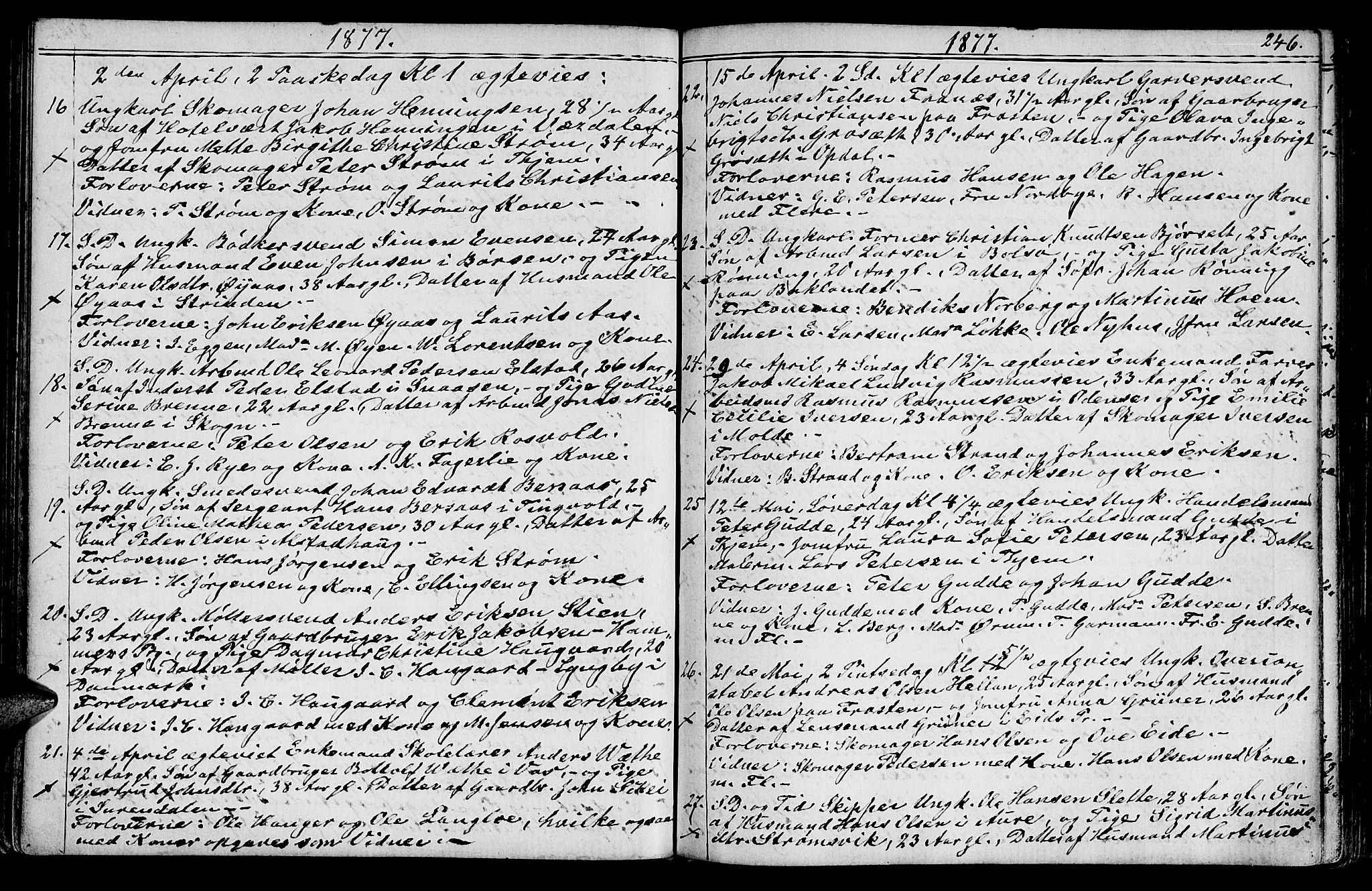 Ministerialprotokoller, klokkerbøker og fødselsregistre - Sør-Trøndelag, SAT/A-1456/602/L0142: Parish register (copy) no. 602C10, 1872-1894, p. 246